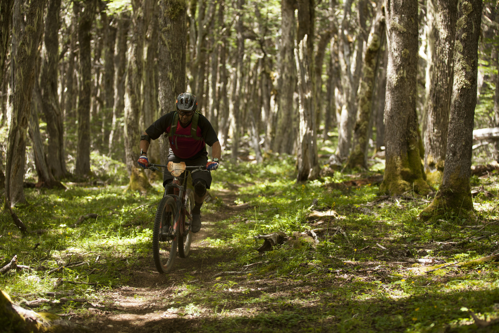The forested singletrack we rode was amazing. Most of it had been cut in just days previously, ready for us to get the first rubber down. 