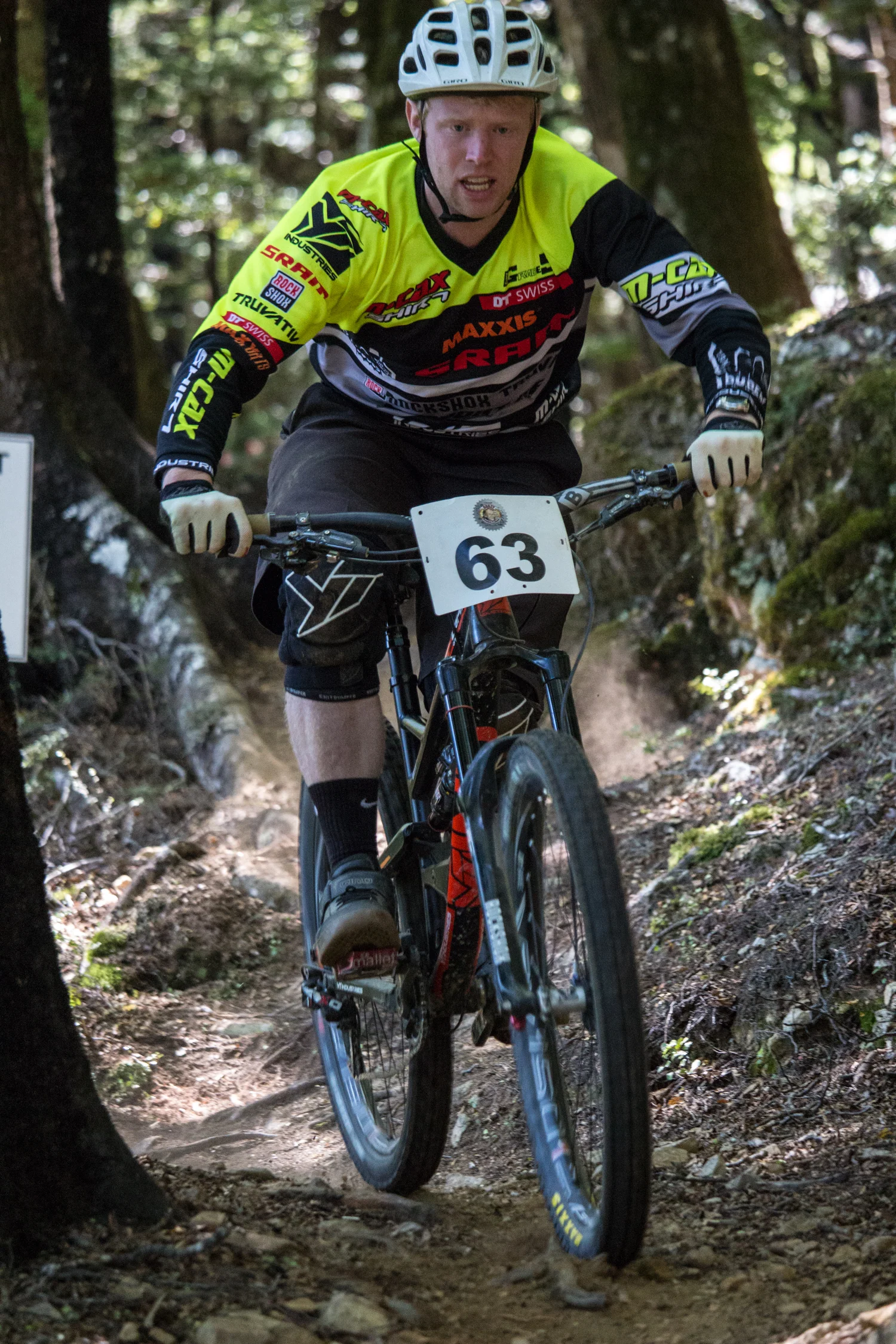 IMG_8774.jpg