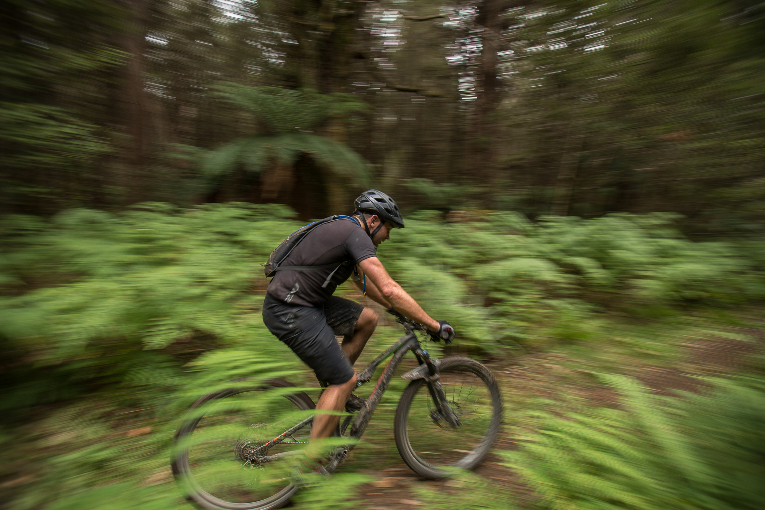 The Karioi Forest section was a mix of single and double track a with dark brown super fast and smooth trail surface, which occasionally surprised all with slippery bogs that sucked in a few riders.&nbsp;&nbsp;