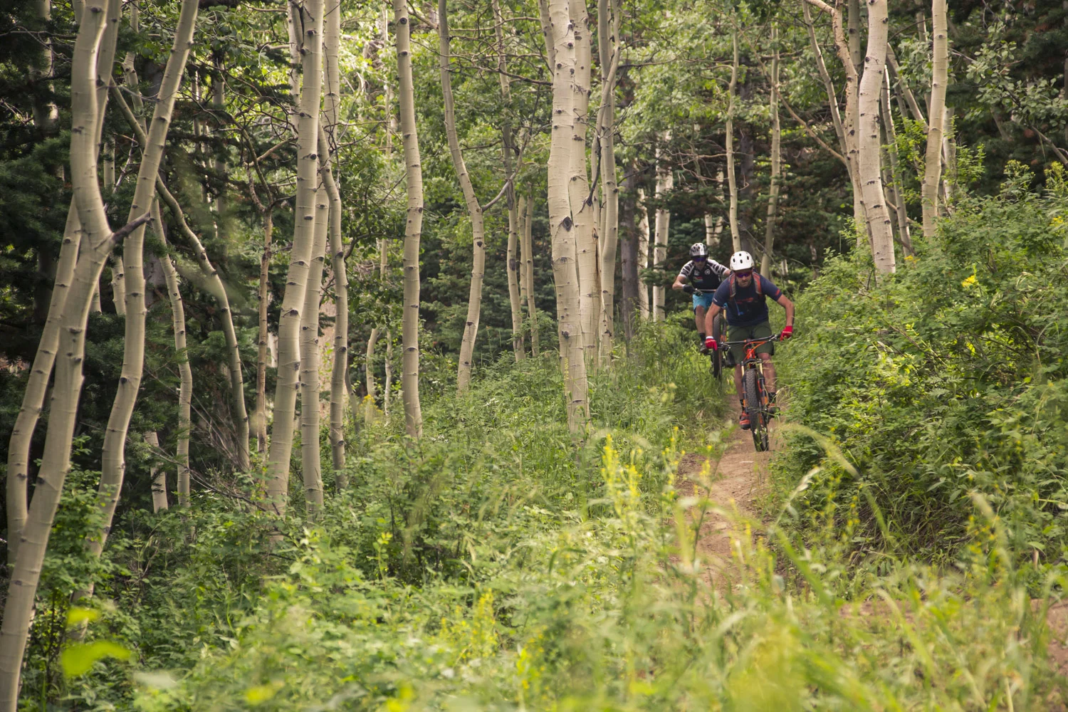Mick and Sean getting amongst Deer Valley's incredible trail network