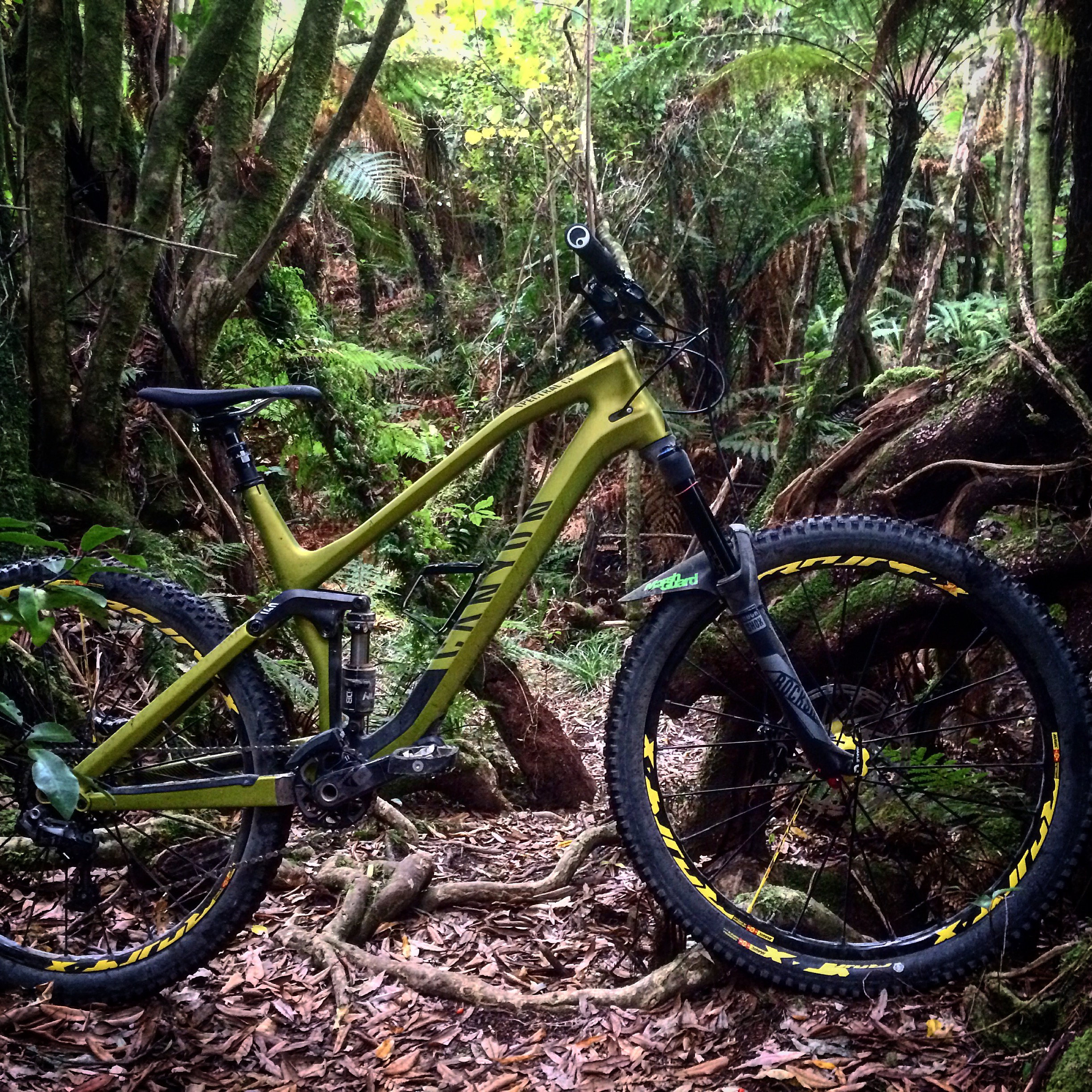 Here's the Spectral CF in its natural habitat, the Akatarawa jungle out the back of my place. First impressions are a nimble and aggressive trail bike that can be pushed hard in any conditions.
