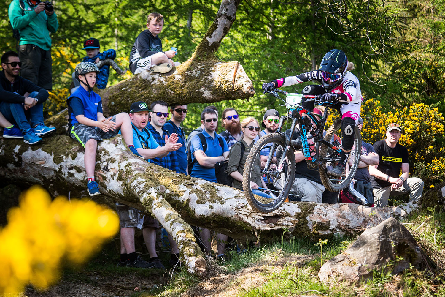 Log jump at the top of stage 5. Photo: Lapierre- Jeremy Reuiller