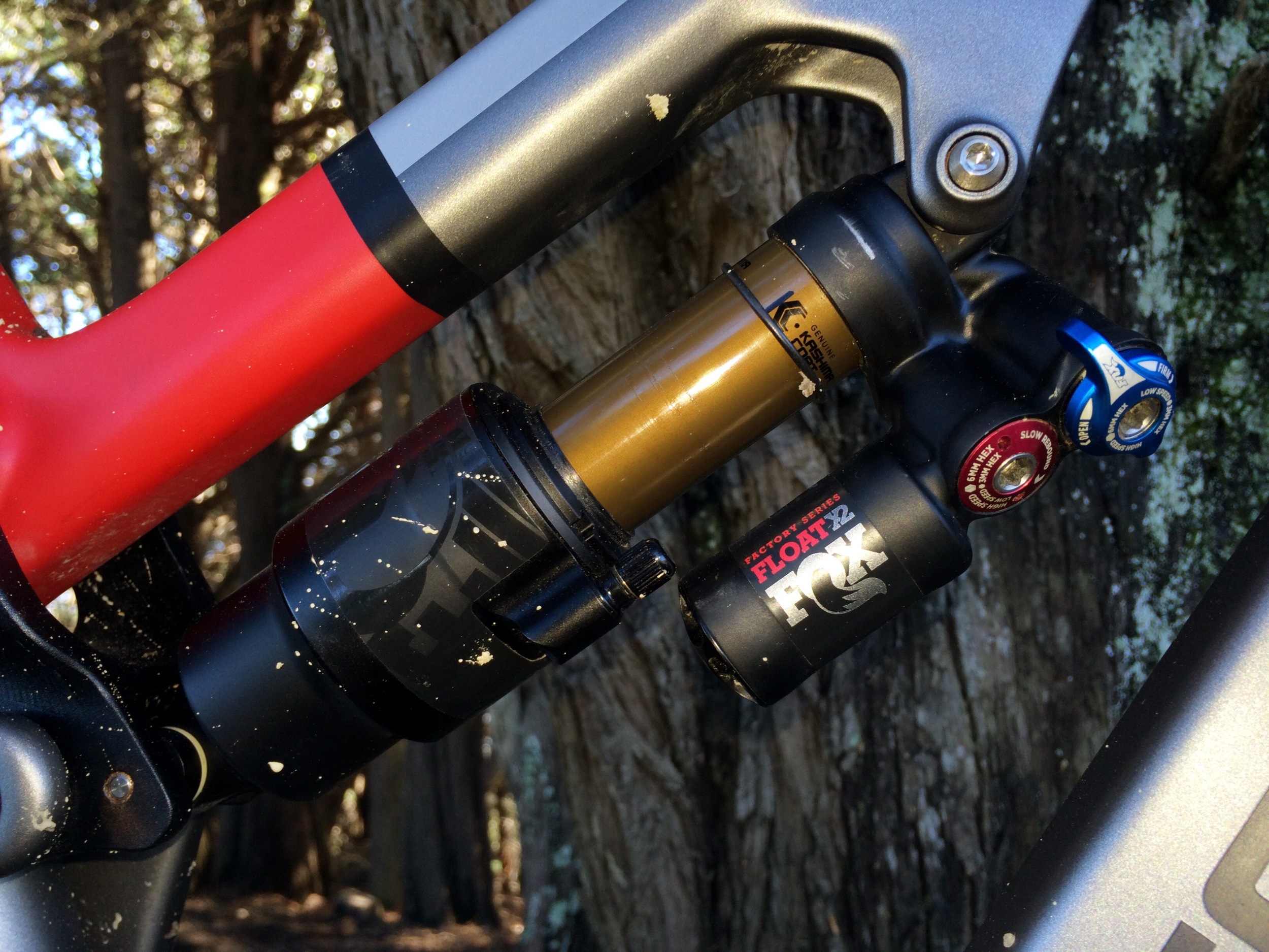 The Float X2 is a serious shock that can tame any trail.&nbsp;It is a DH shock after all. The Recluse runs a 200x57mm with 6mm titanium bolts.