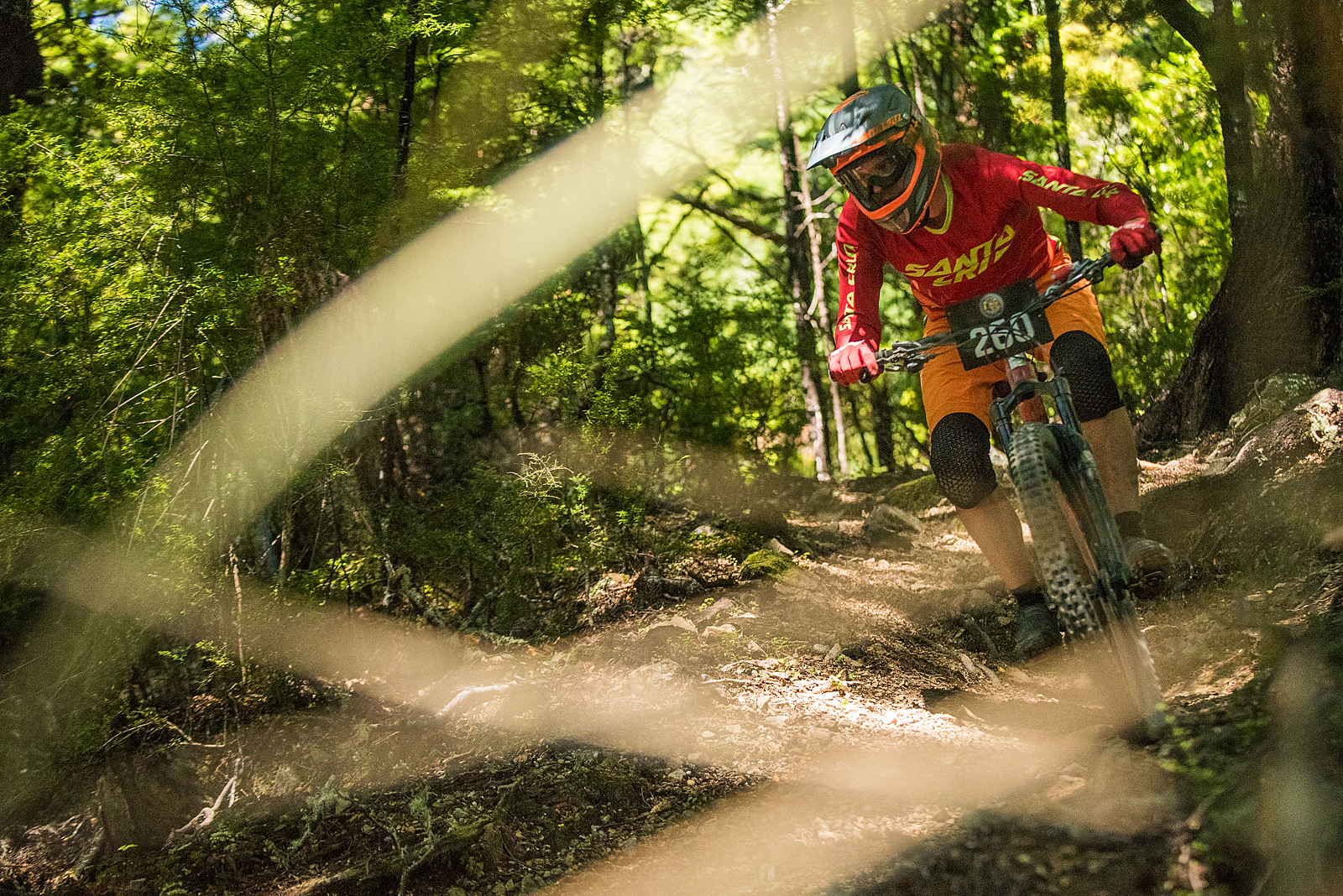 Trails were dry and in mint condition, as you would expect! Image: Digby Shaw