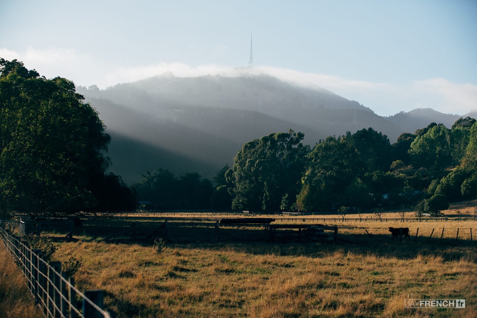 Good morning Christchurch