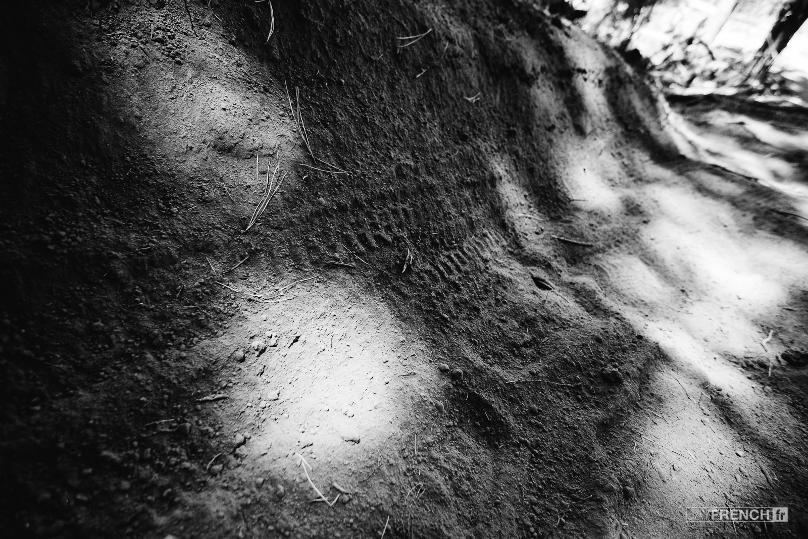 Some rare tracks in the dust