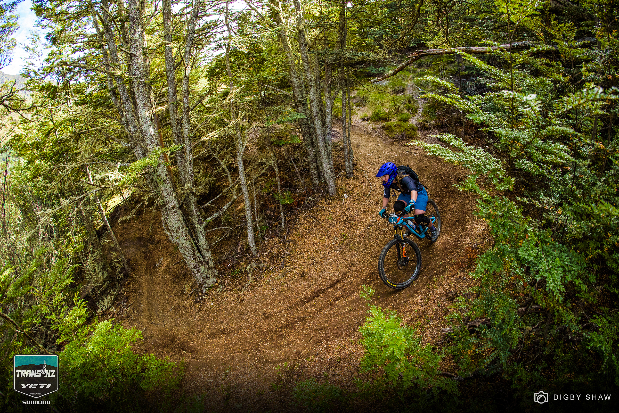 More stage two loamy goodness