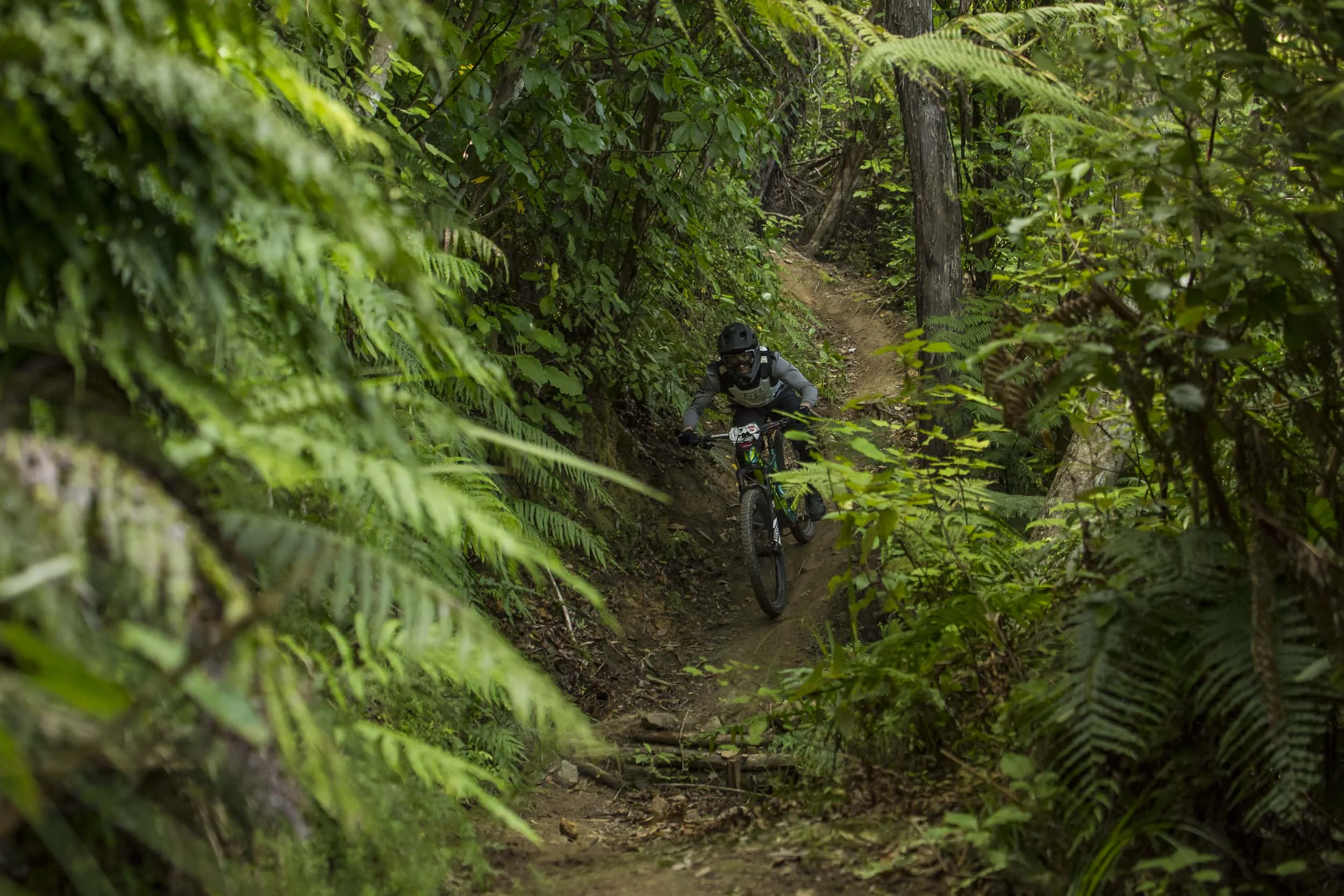 enduro nz