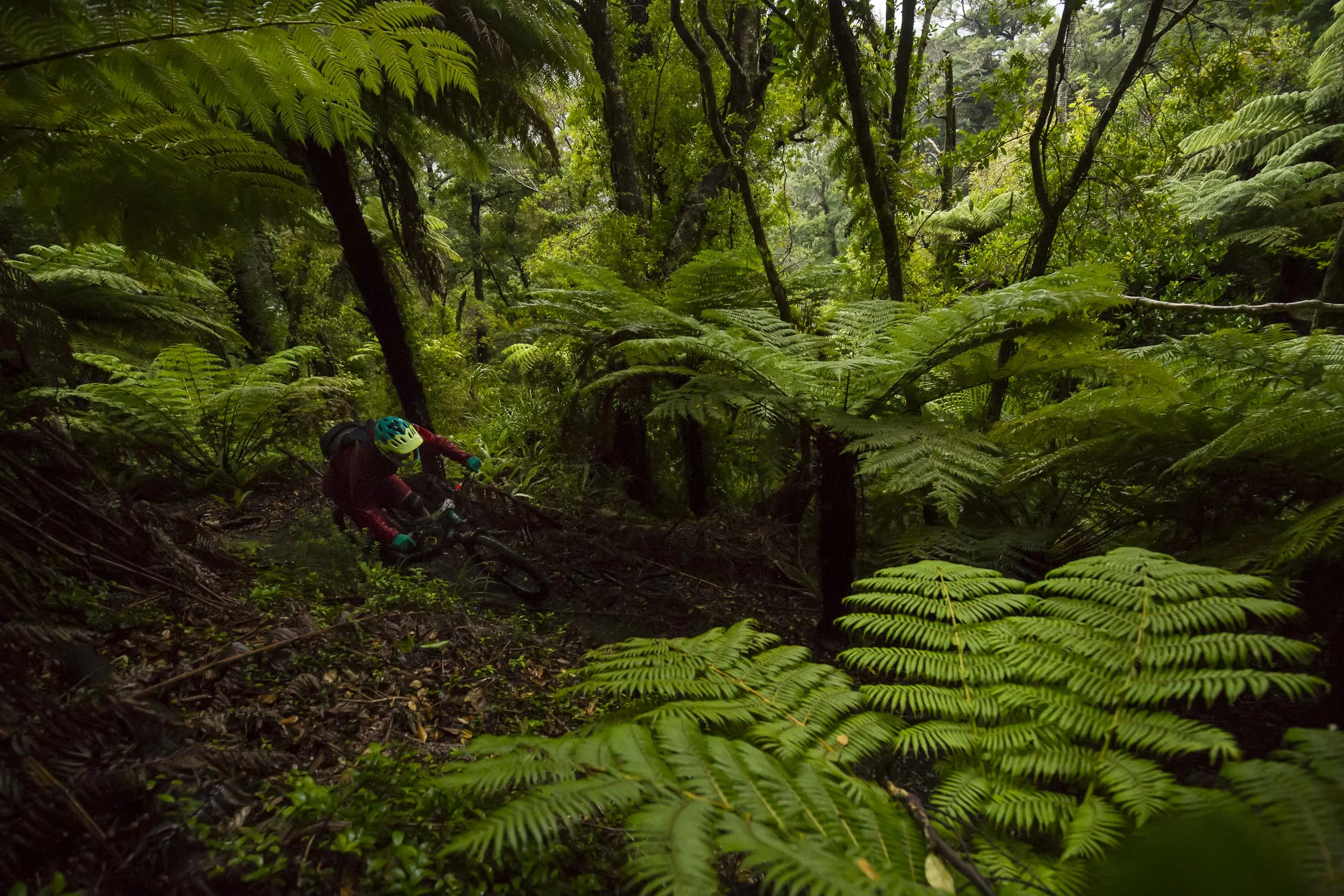 NK_NZ_Enduro_Day2-9.jpg