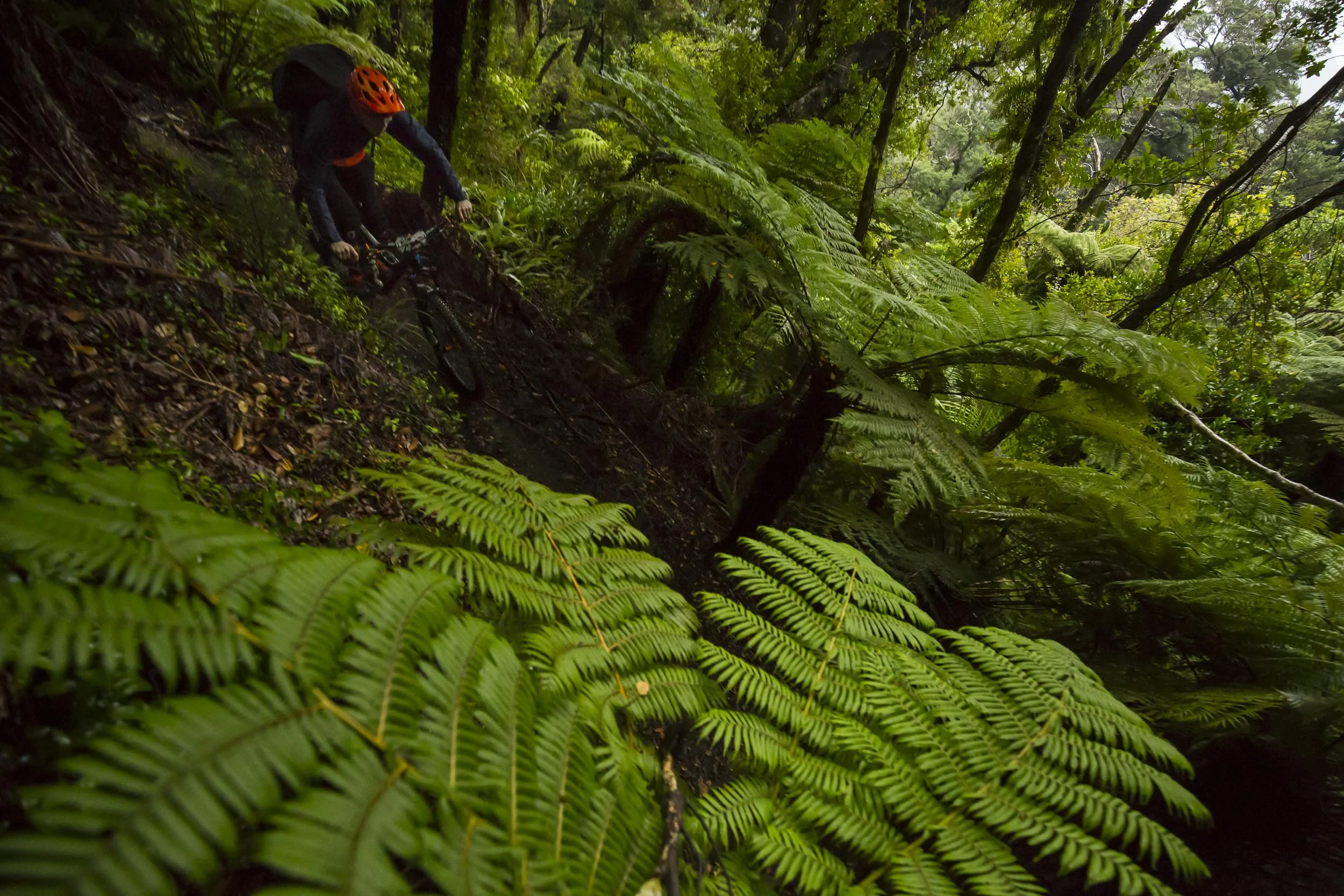 NK_NZ_Enduro_Day2-10.jpg