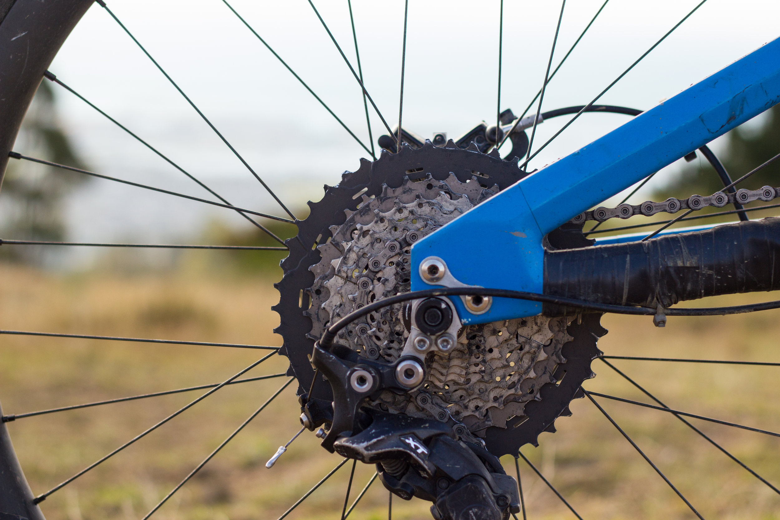 Ik zie je morgen Draaien Pamflet Shimano XT 11-46T Cassette - Review - Spoke Magazine