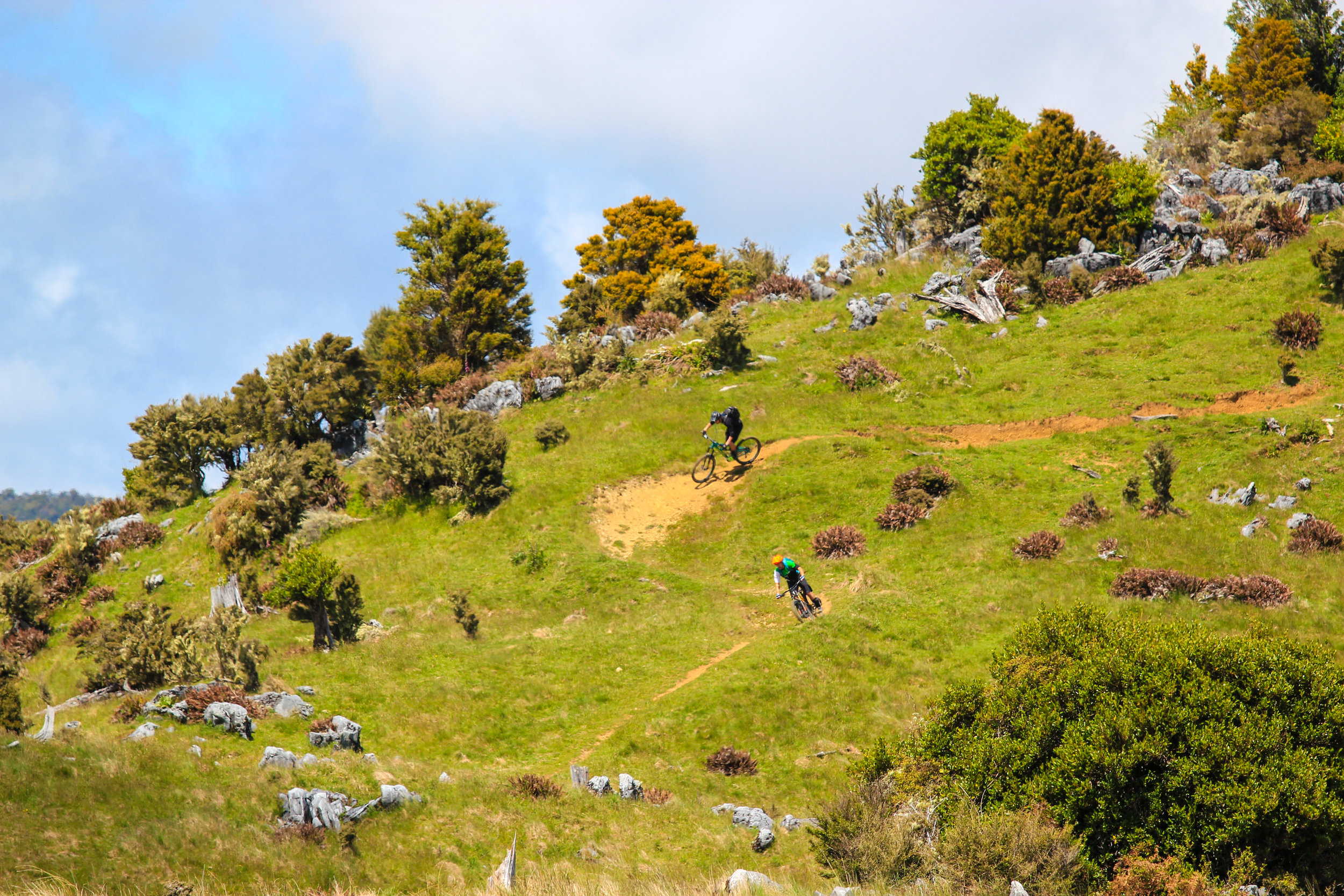 This is one of the few trails in the Abel Tasman National Park