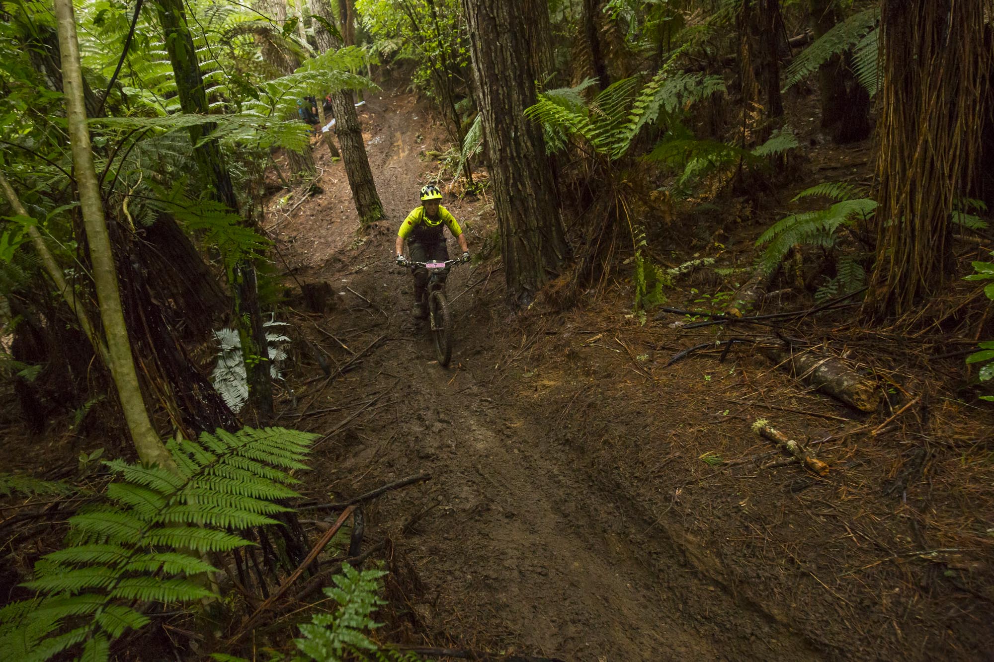 Dank and dark, Bex tries hard to get going and find race pace after the off season