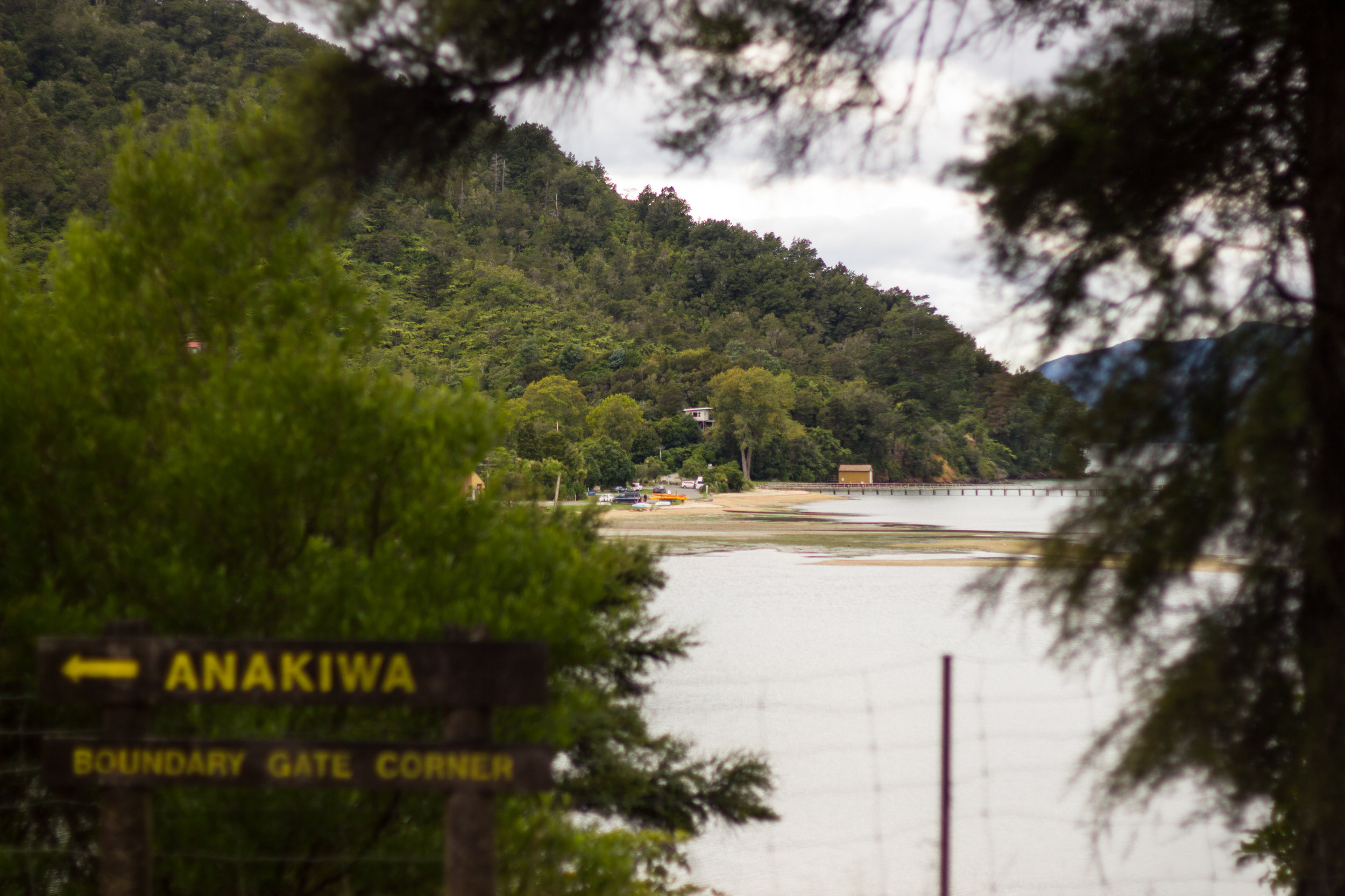 The Queen Charlotte track terminates and we ride The Link Track to Havelock