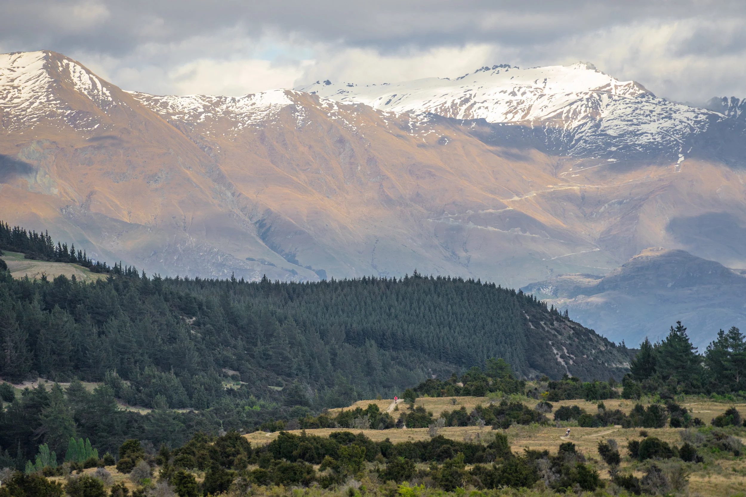 Deans Bank-11.jpg