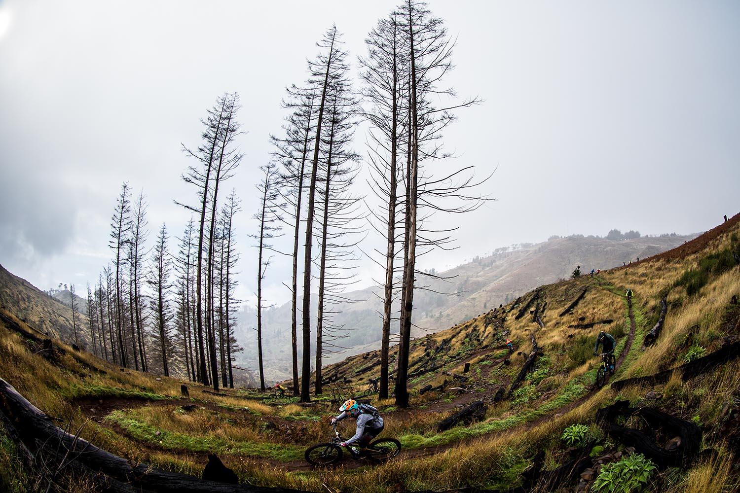 Some of Madeira's endless trails network