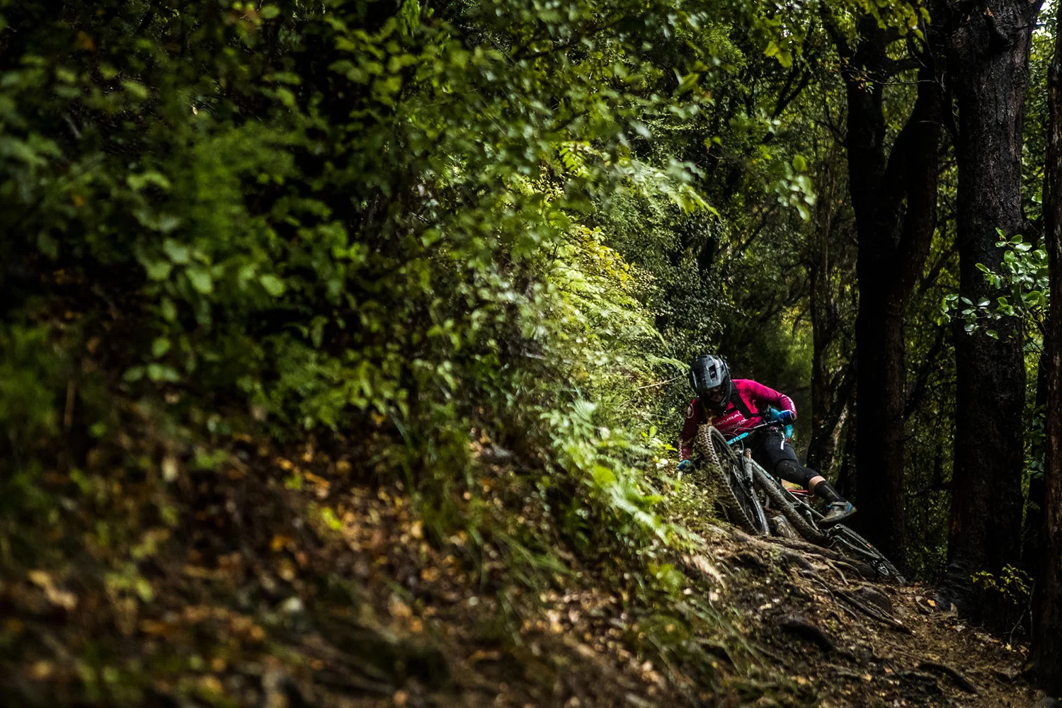 NZEnduro19_BB_AS6I0439.JPG