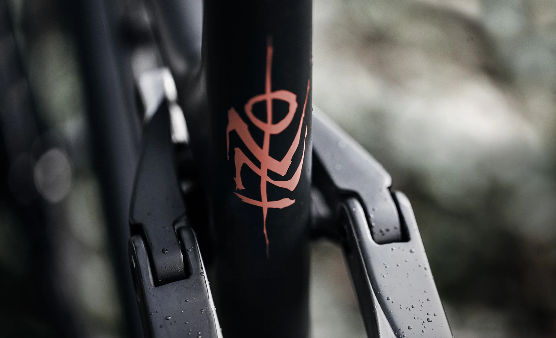 Yt industries Bikes 2020 Trail