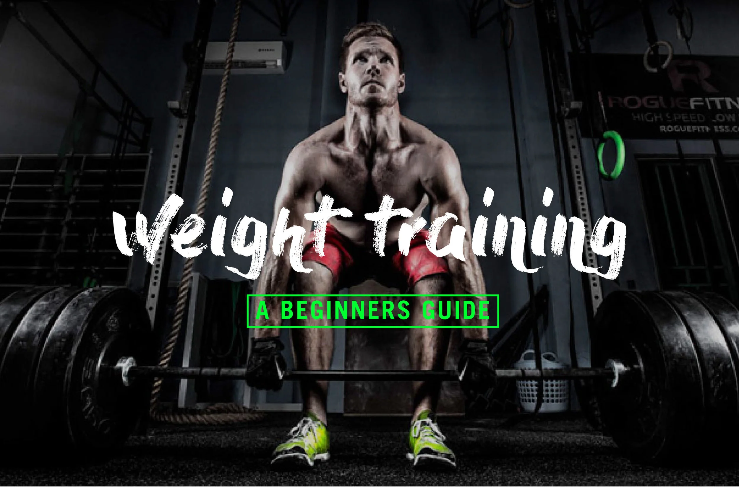A beginners guide to weight training and muscle gain. Ebylife