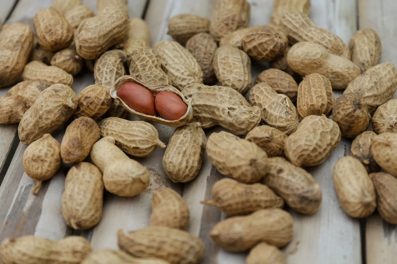 healthy-snacks.jpg