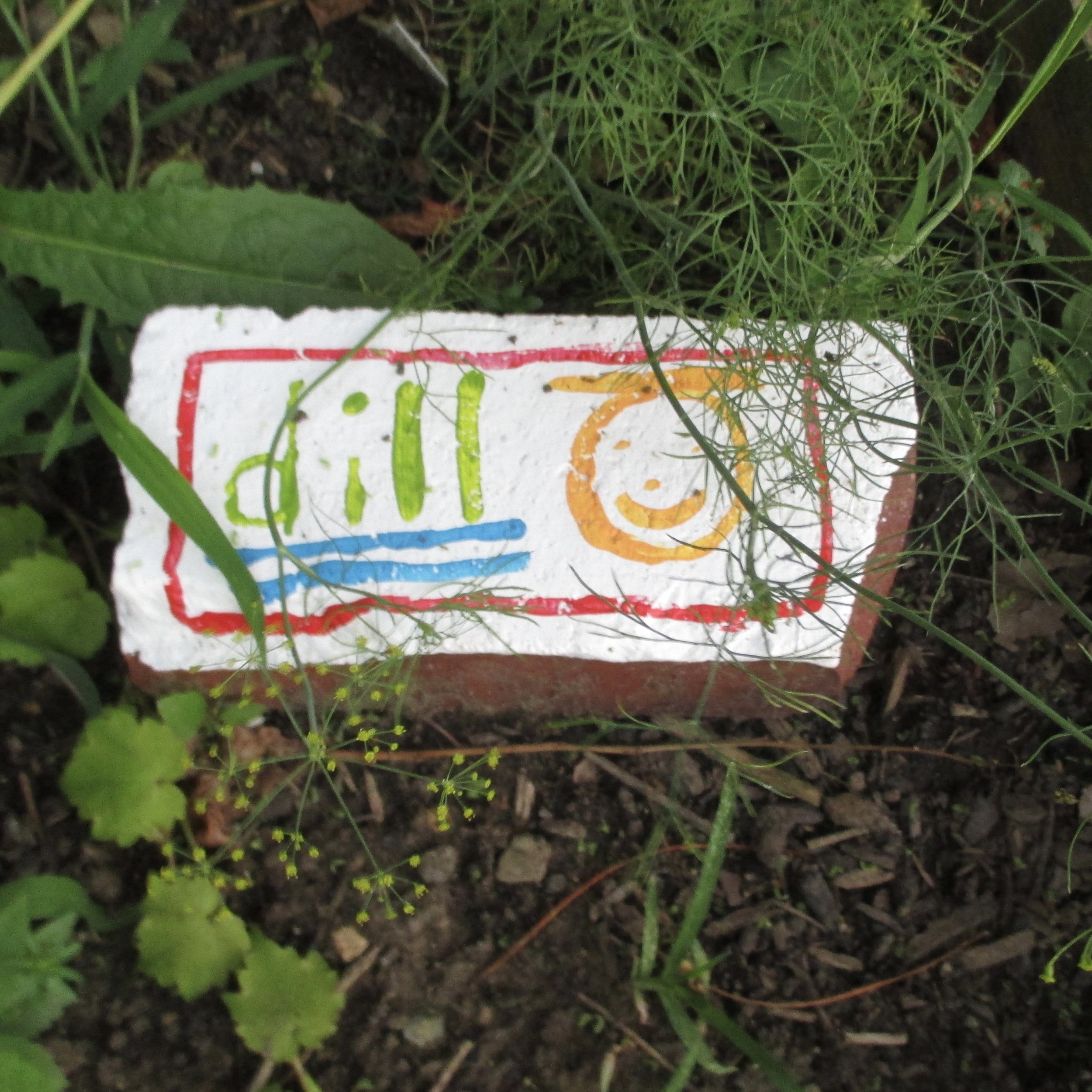 7/15/16: Point Breeze - dill
