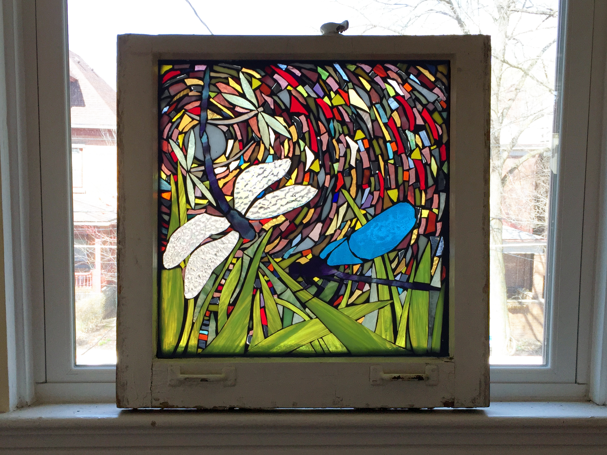 Four Dragonflies