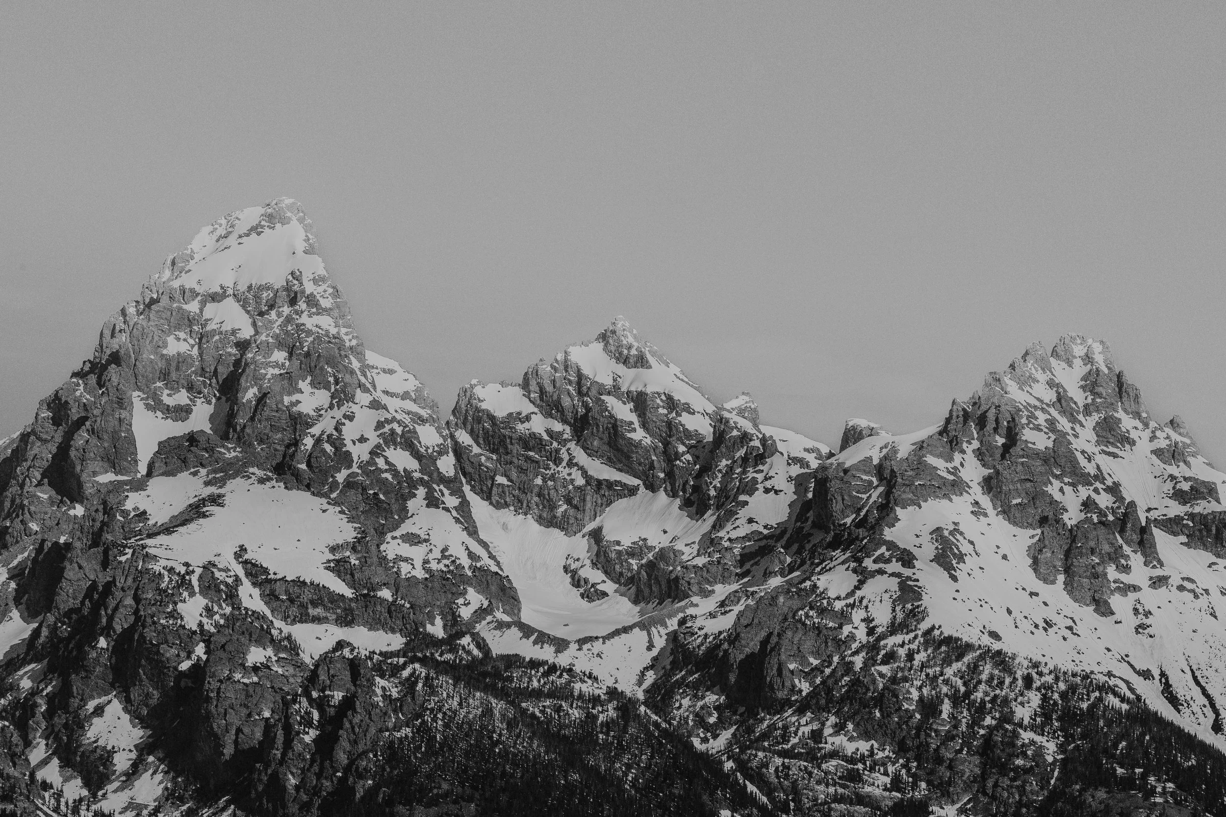 WILLIAMS_GRANDTETON-2.jpg