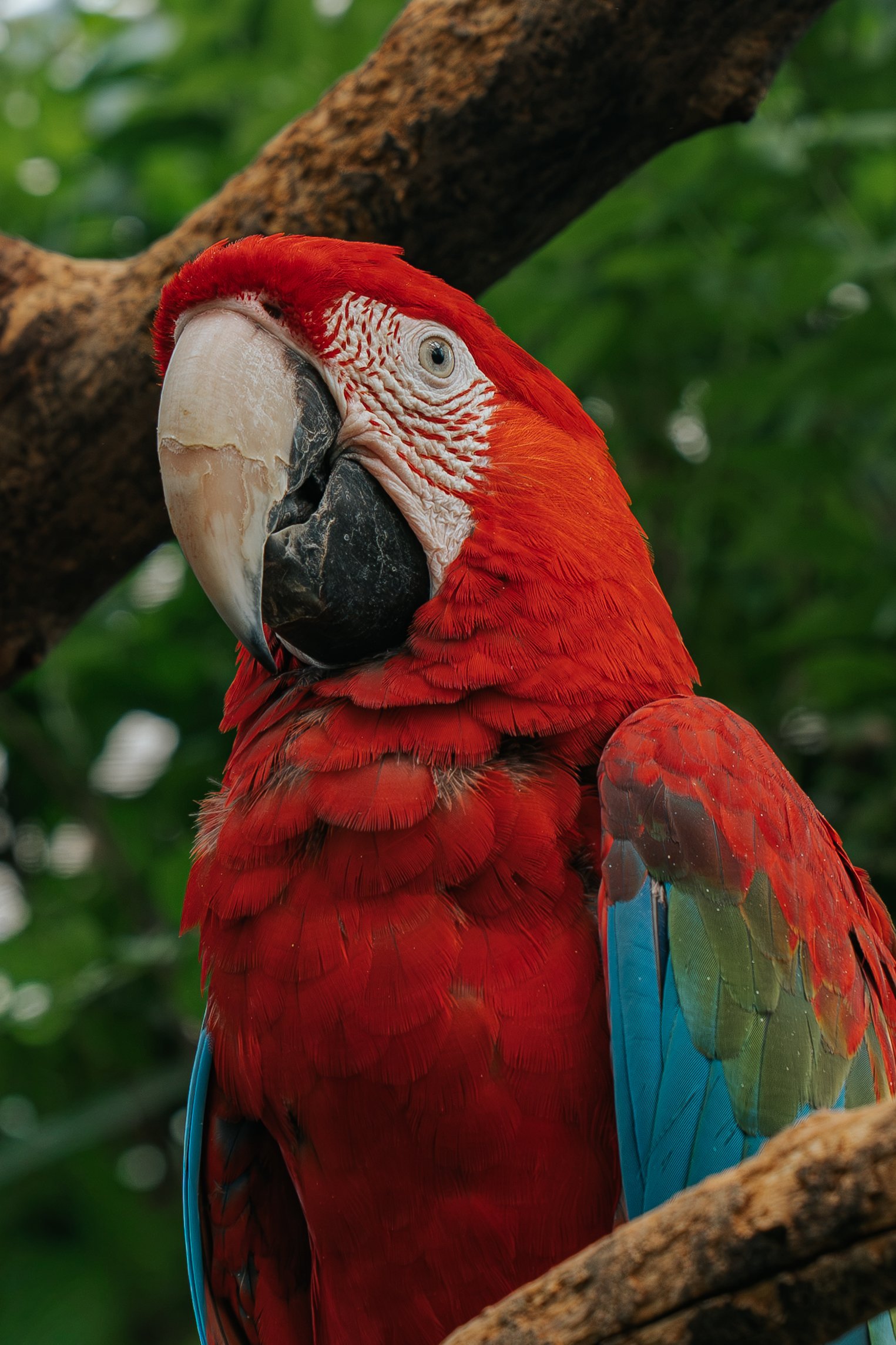 WILLIAMS_BRONXZOO-4.jpg