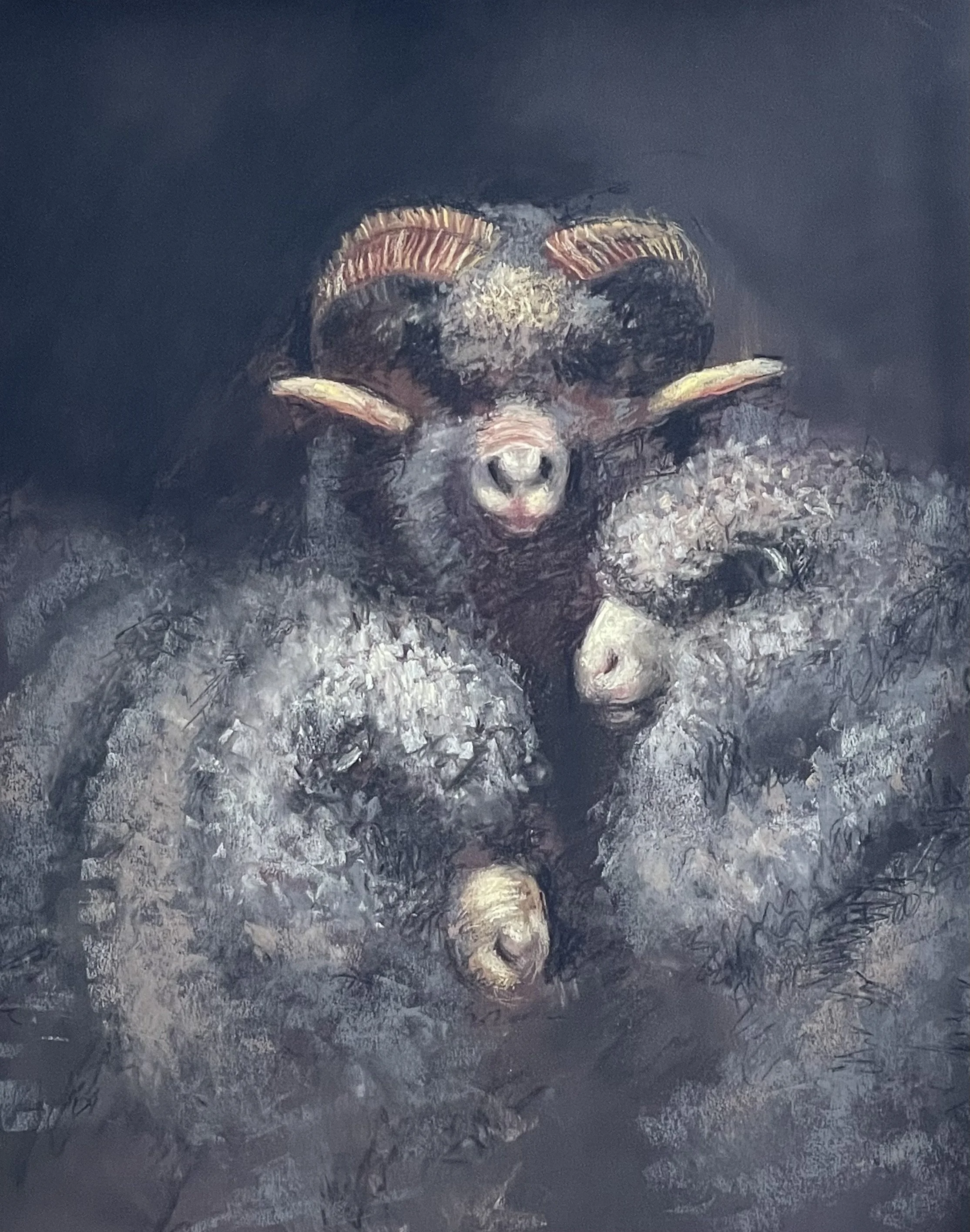 Grandpa Shaw's Merino