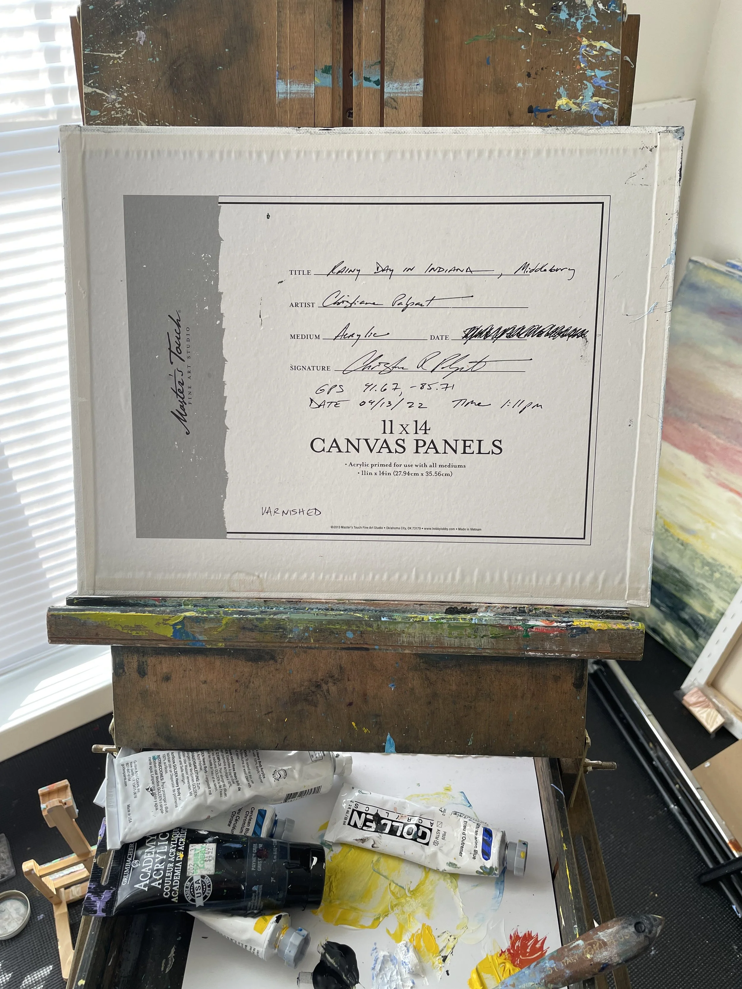 Indiana RainyDay 2022.jpg