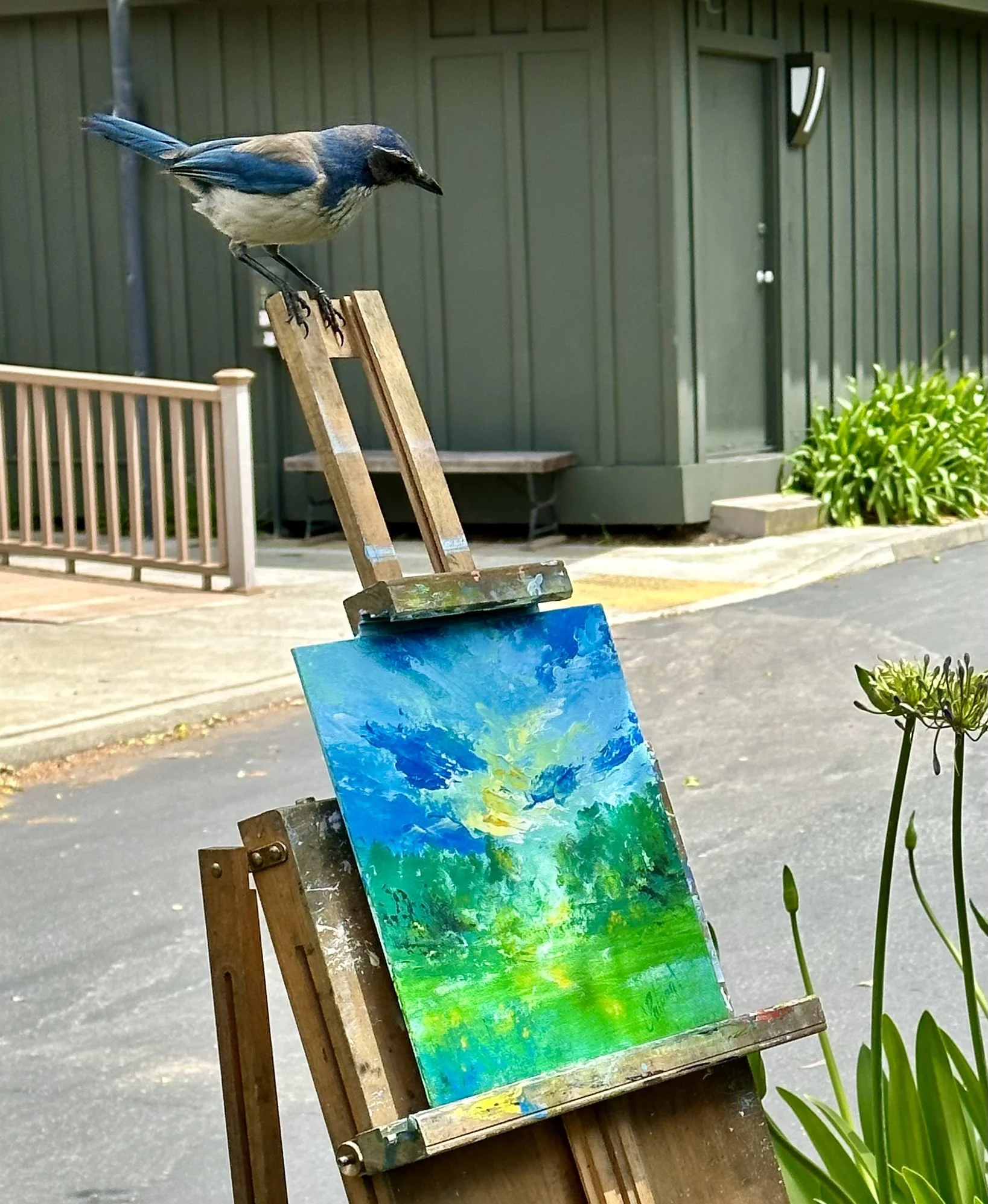 Arkansas Bird 2023.jpeg