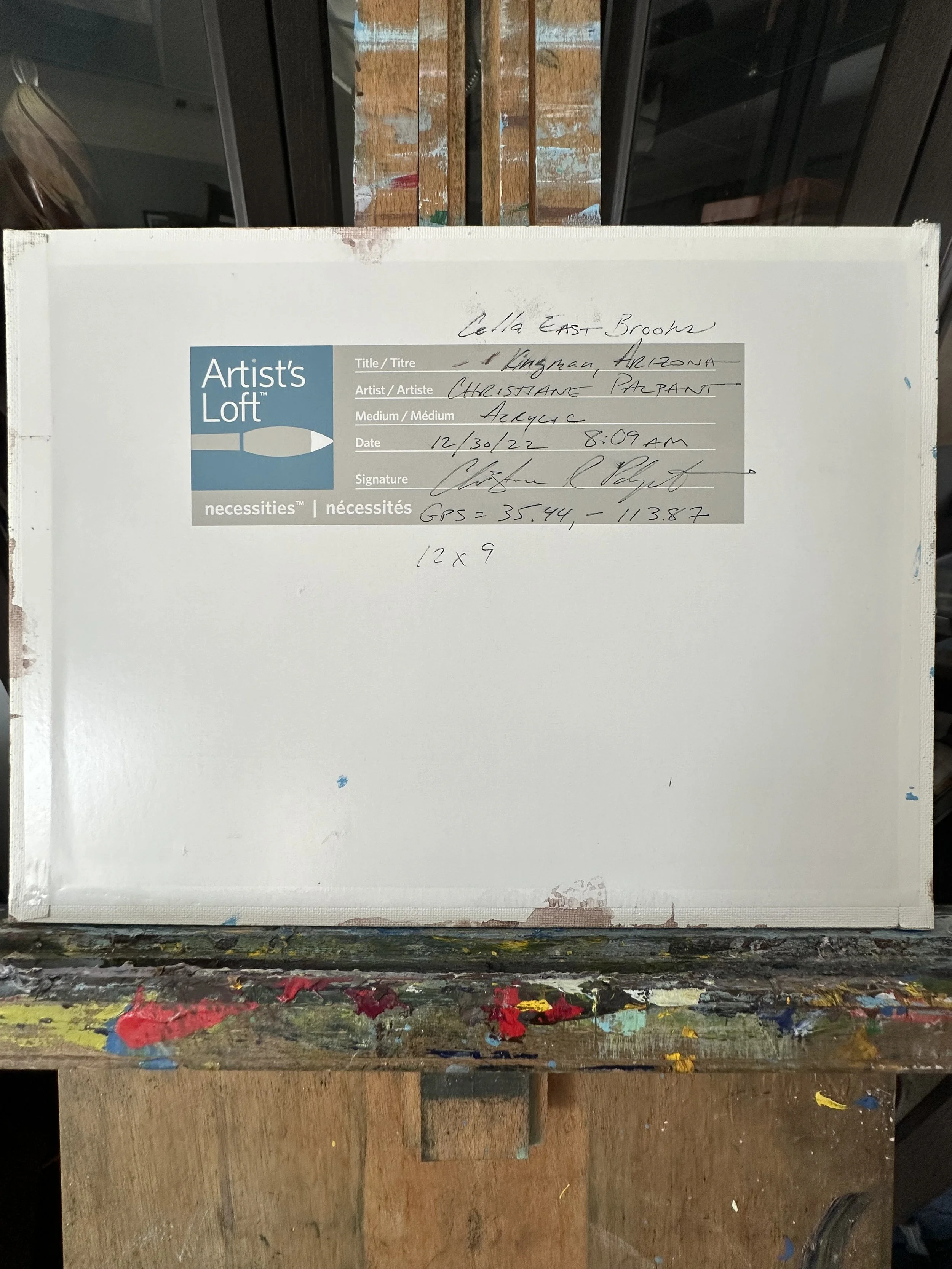 Arizona 123022 back.jpg