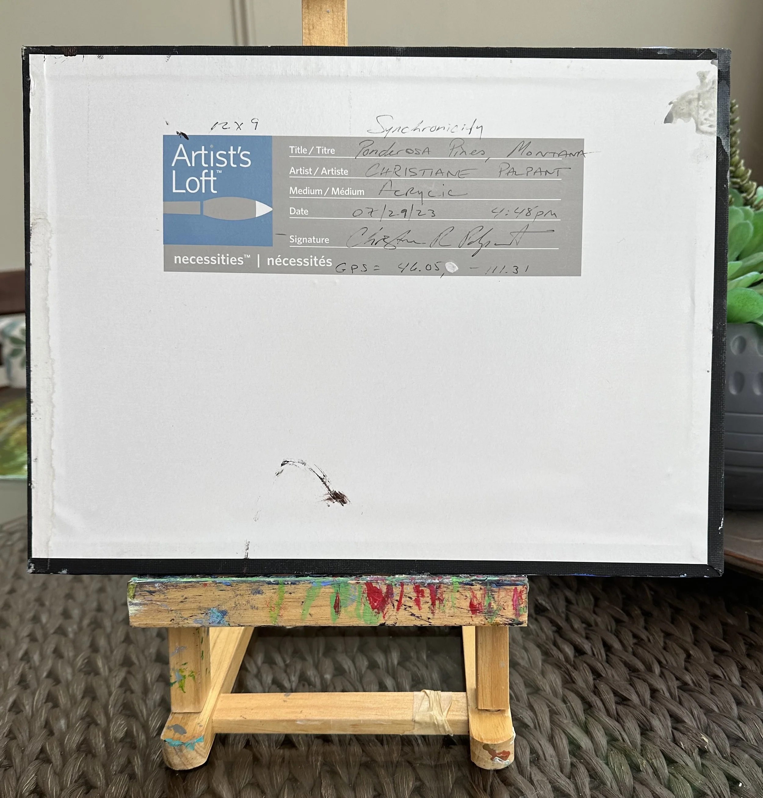 Montana Synchronicity 072923 back.jpg