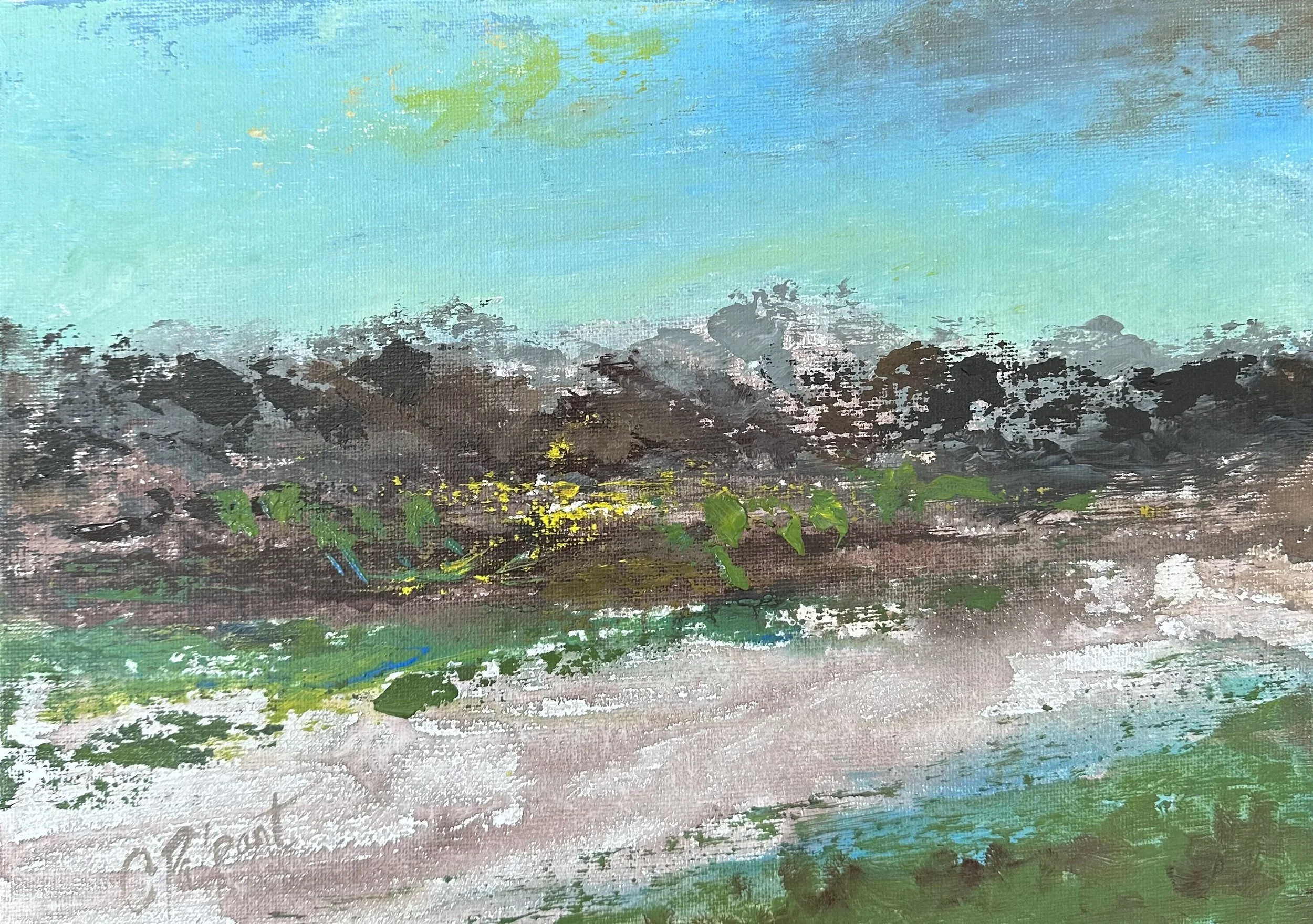 New Mexico 122122.jpg