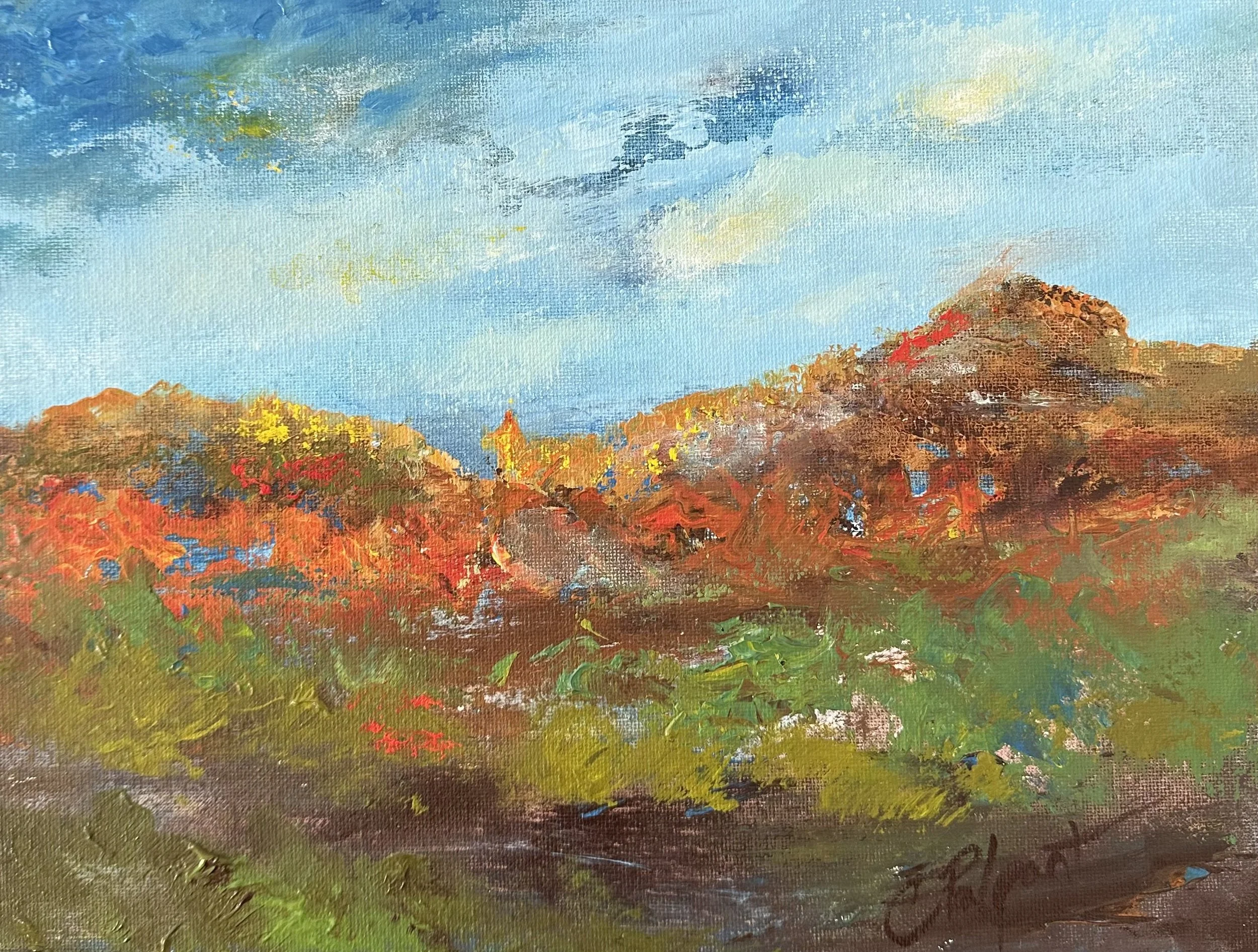 Texas Palo Duro 010223.jpg