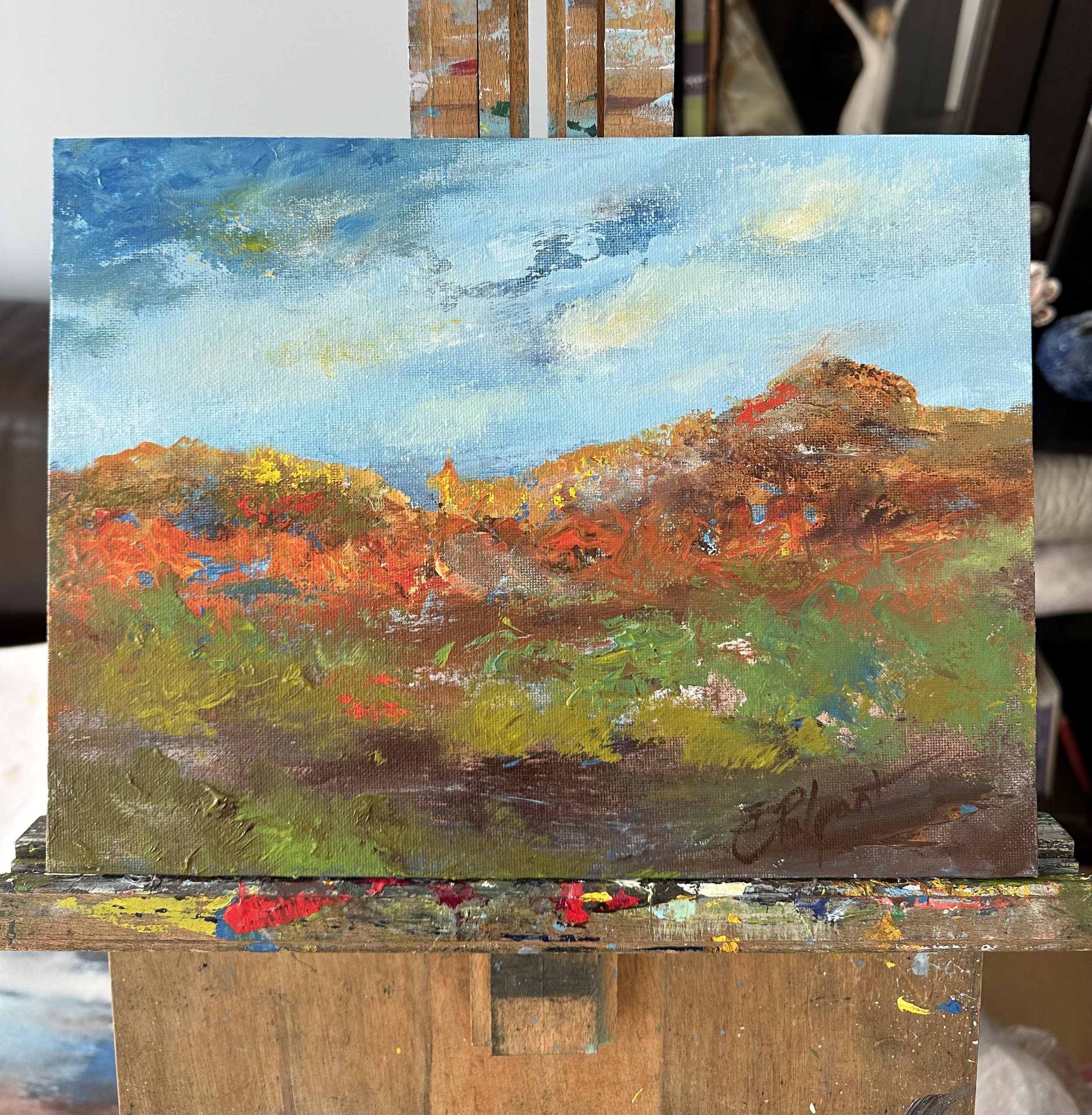 Texas Palo Duro 010223-1.jpg