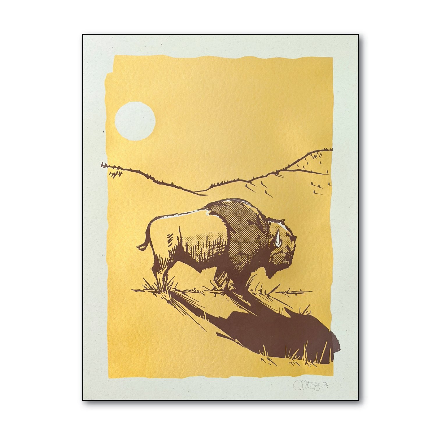 bison2026.jpg