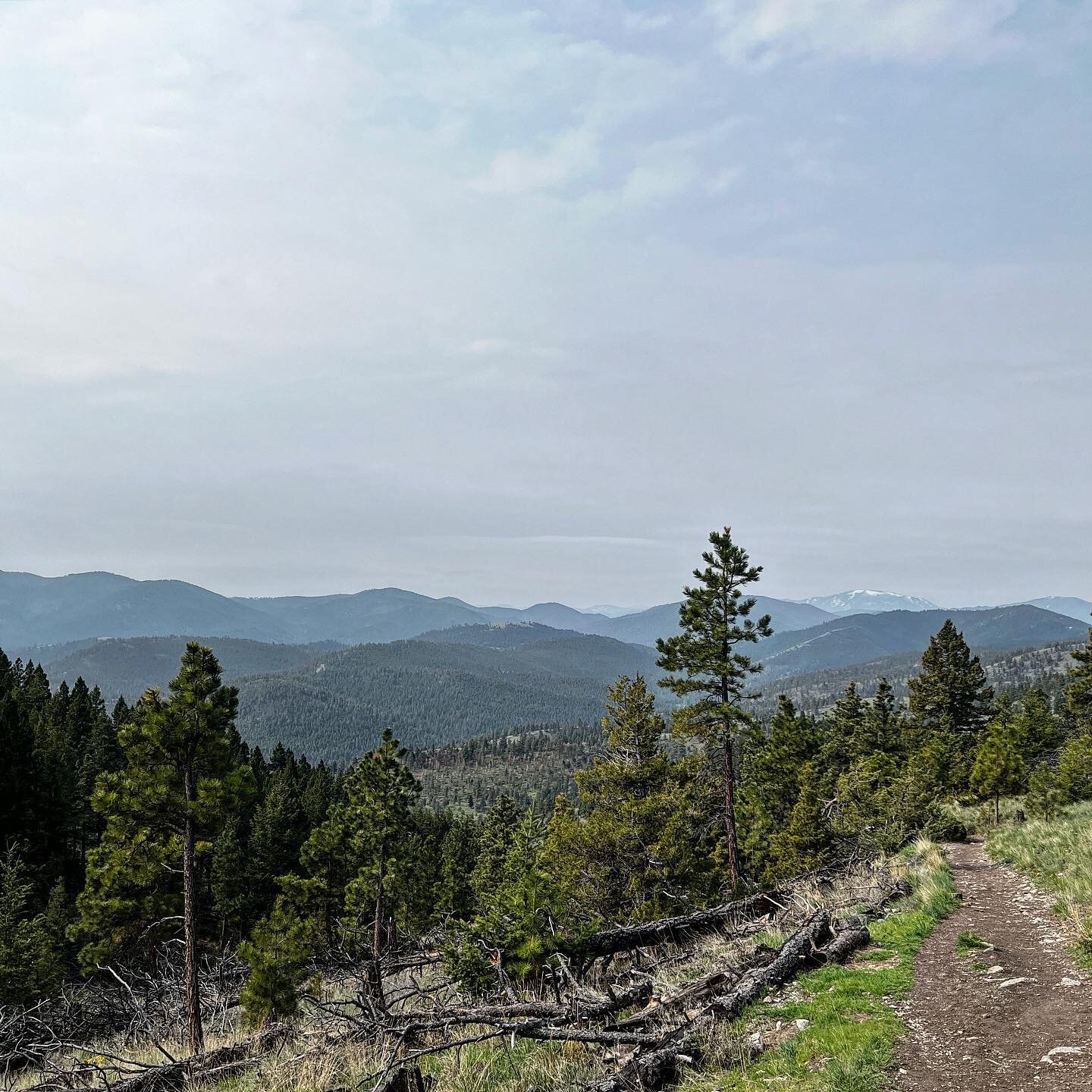 From the backside of Mount Helena! #helenamt #montana #mt