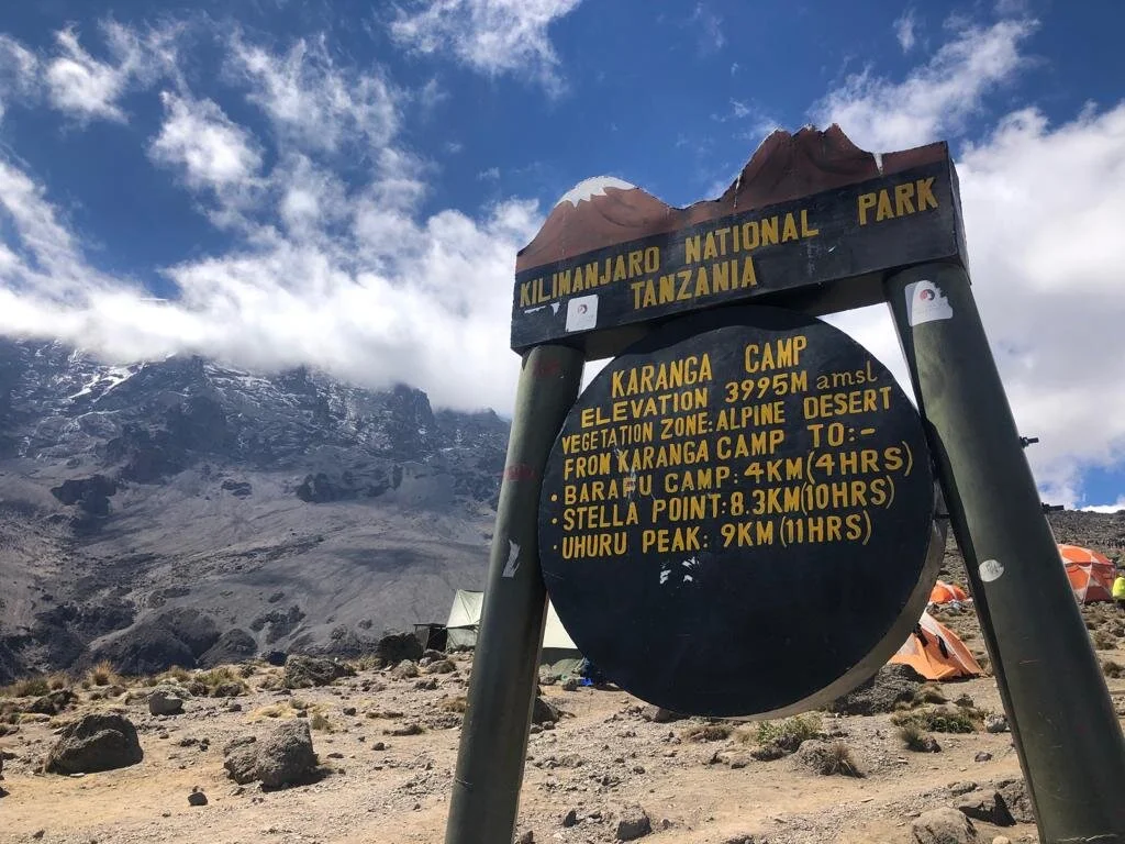 fa8ac384-a996-42fe-8311-f05239bf4706 2.JPG