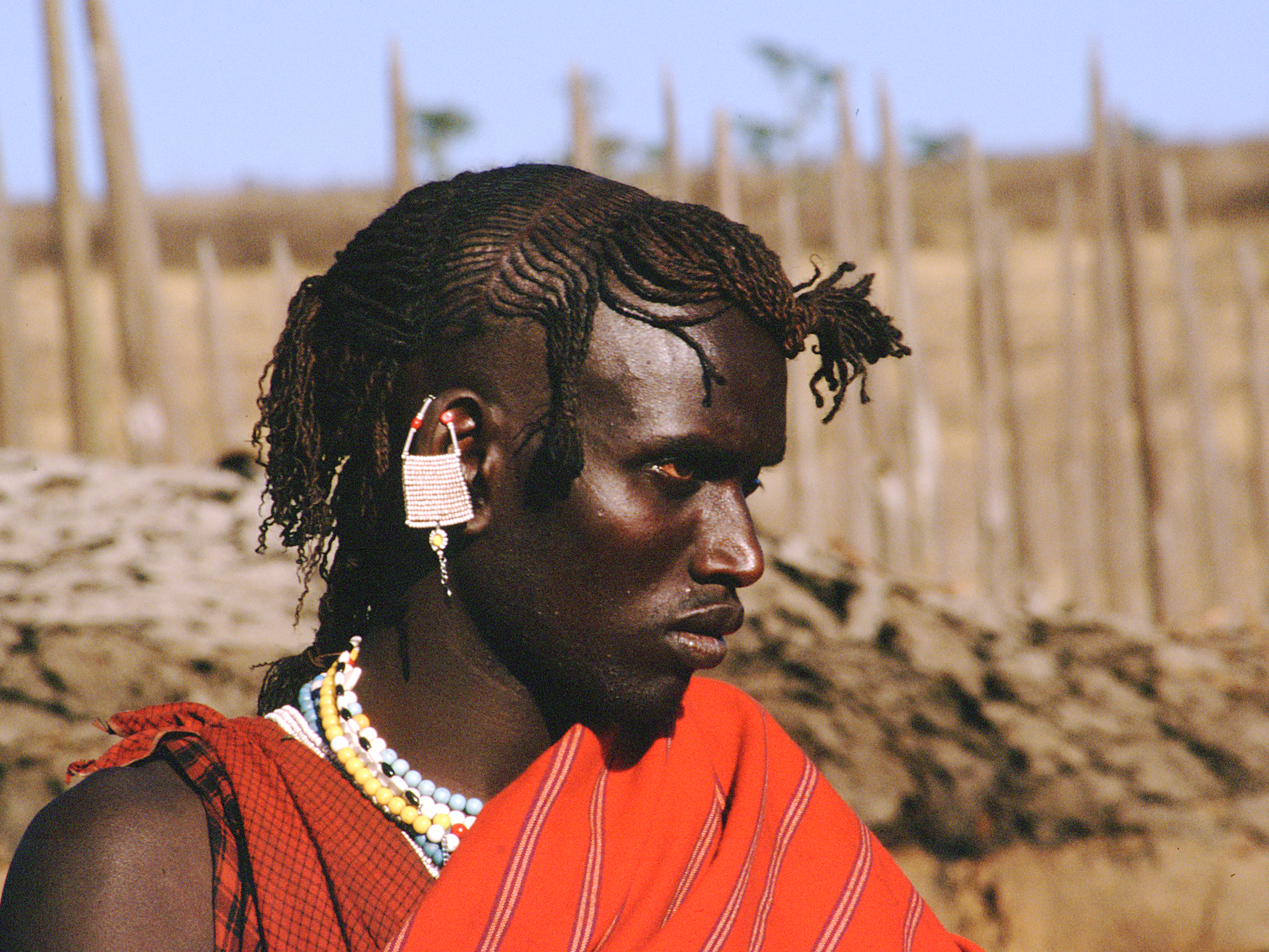 Maasai Wearing Traditional Shuka - Tanzania