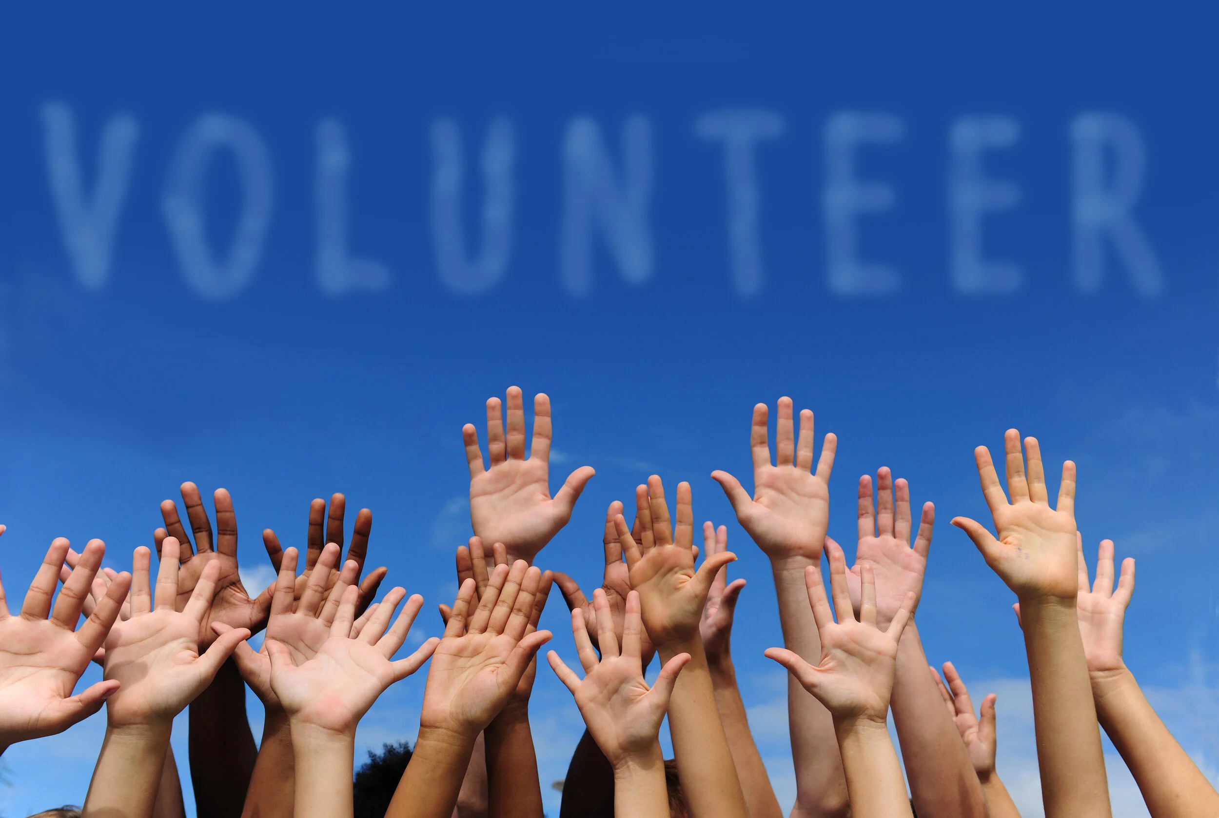 Canva - Multiethnic hands raised under word 'volunteer' (1).jpg