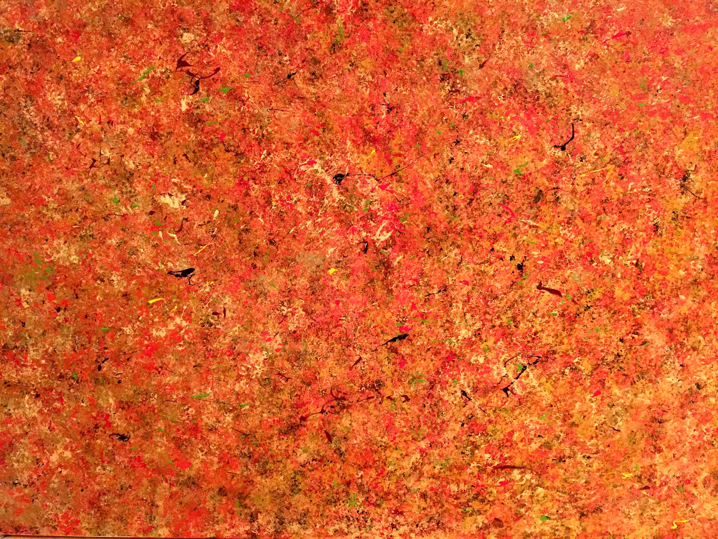  Orange Coral    Acrylic on Canvas    30 x 40 x 1.5 in.  