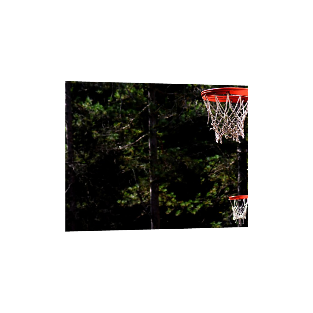 ptq_34_6_531_0_2603_2083_0_false_ffffff_0_0_.png