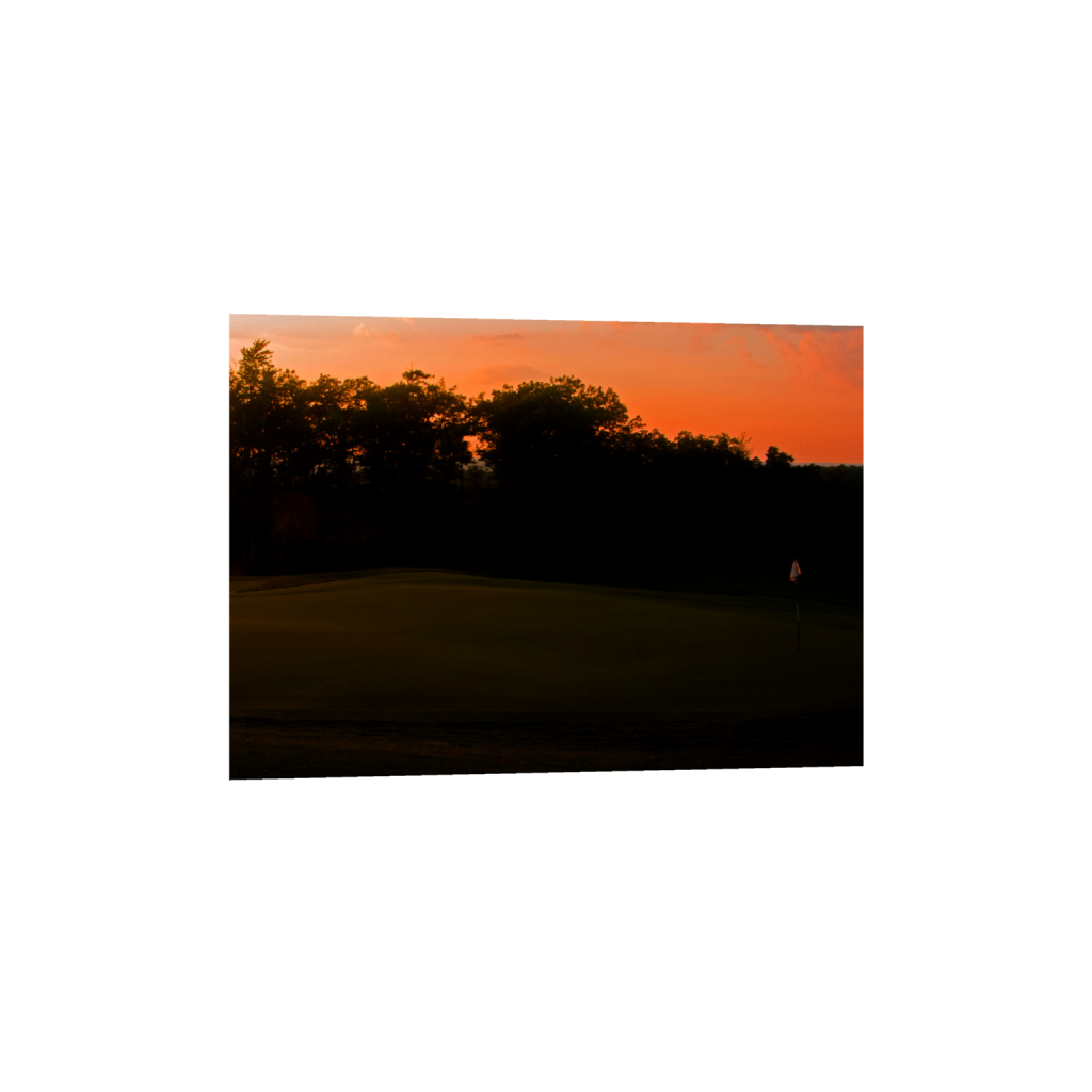 ptq_1_7_1244_0_3955_2825_0_false_ffffff_0_0_.png