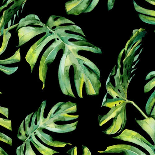 Tropics at Night