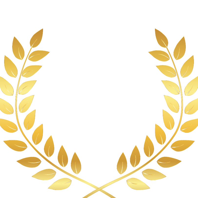 2017 People's Choice award