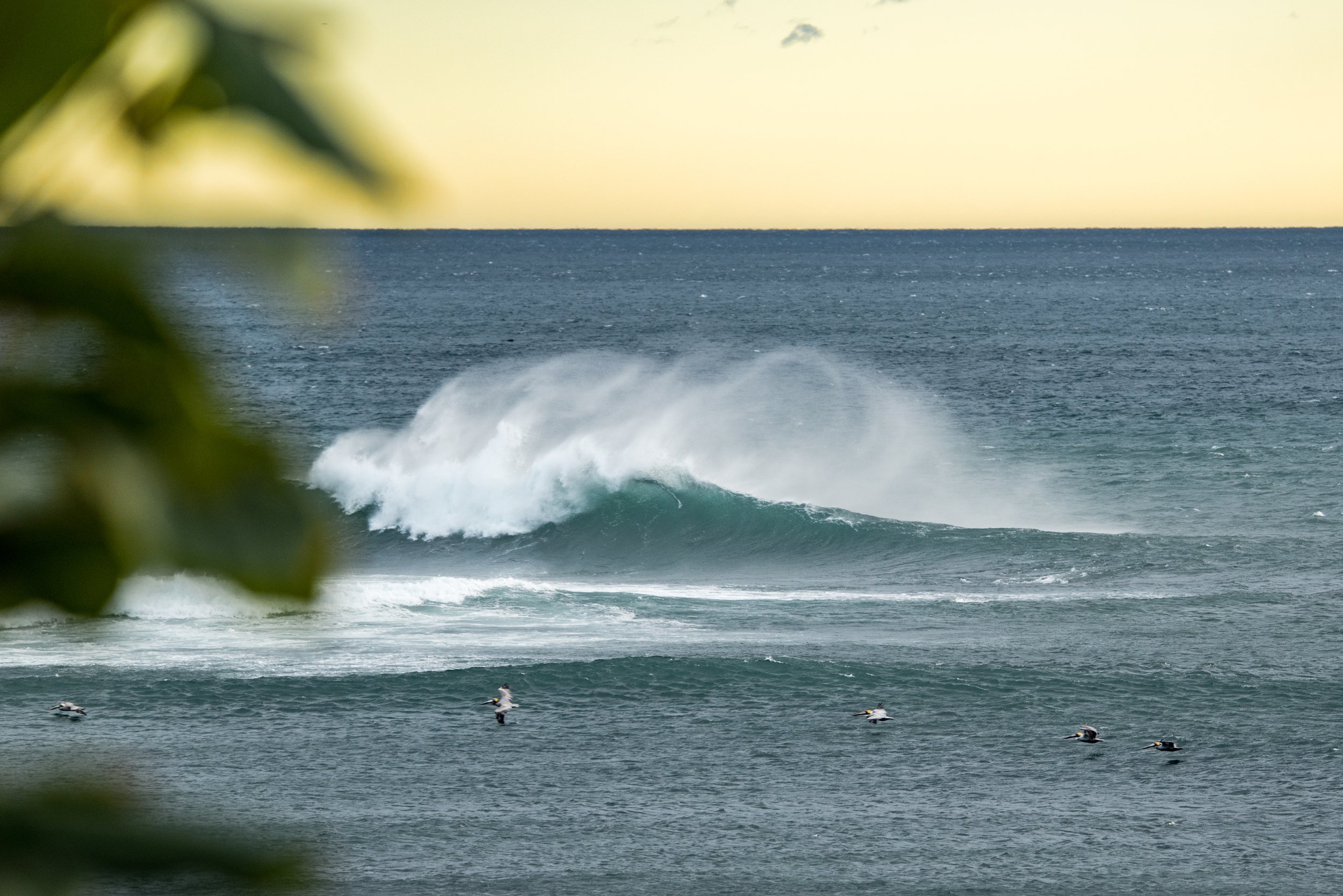 Waves and wind season 1.jpg