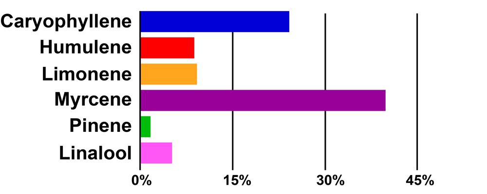 WEBGRAPH_albino.png