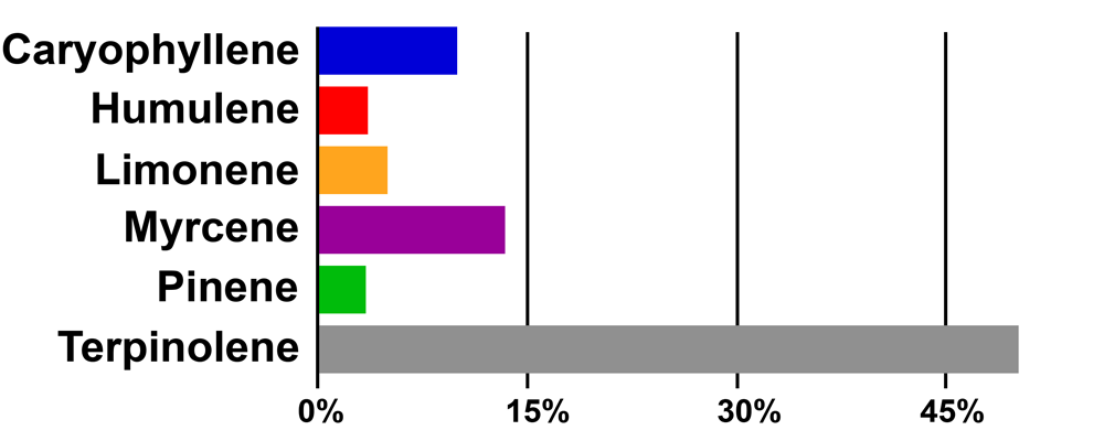 WEBGRAPH_tesla.png