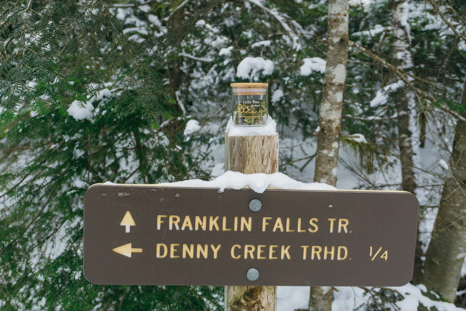spark-adventure-lazy-bee-gardens-franklin-falls-1.jpg